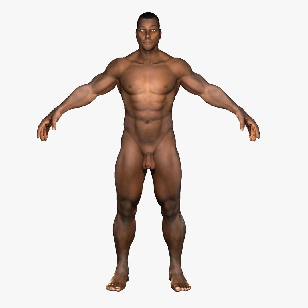 Full Body Anatomy 3D Model – Detailed Female & Male Anatomy, OBJ & FBX - View 62