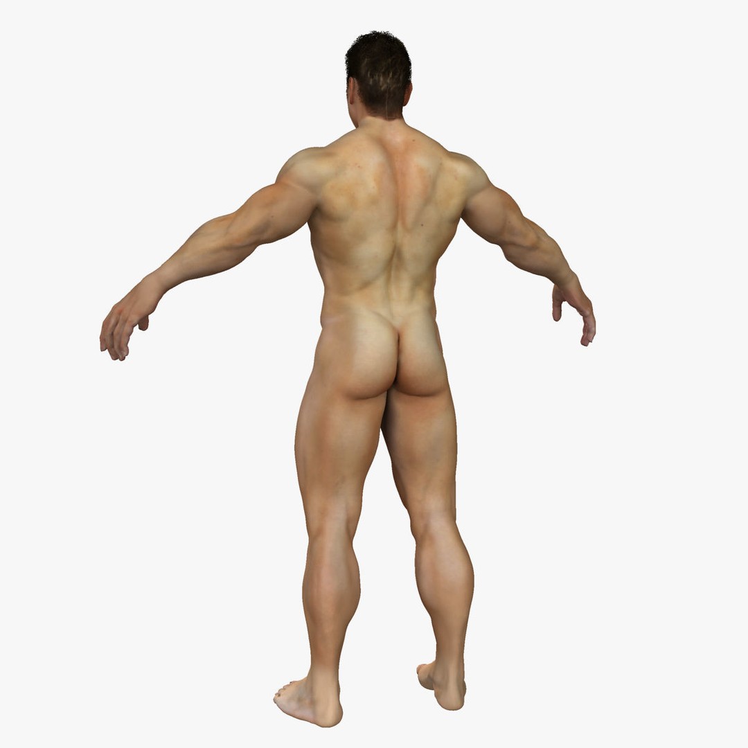 Full Body Anatomy 3D Model – Detailed Female & Male Anatomy, OBJ & FBX - View 66