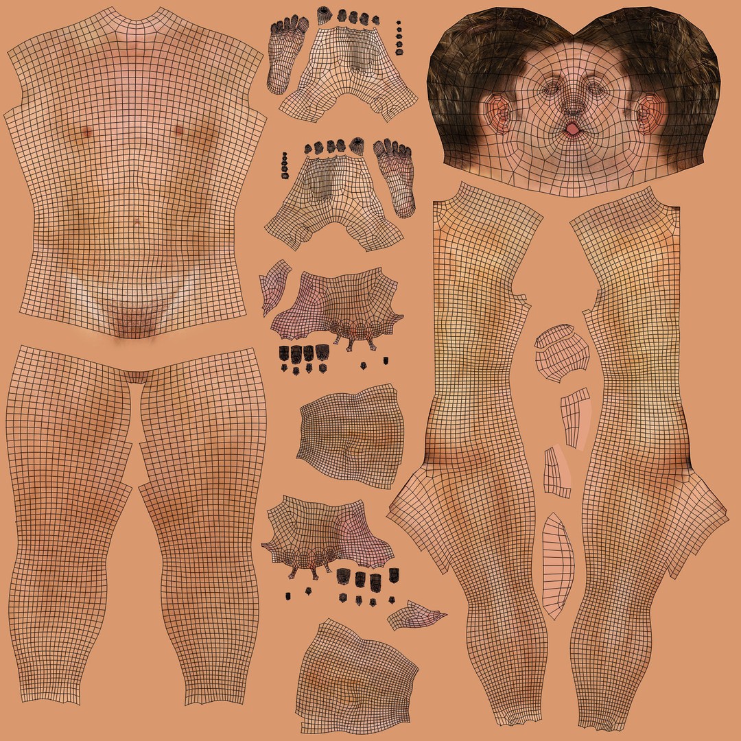 Full Body Anatomy 3D Model – Detailed Female & Male Anatomy, OBJ & FBX - View 69