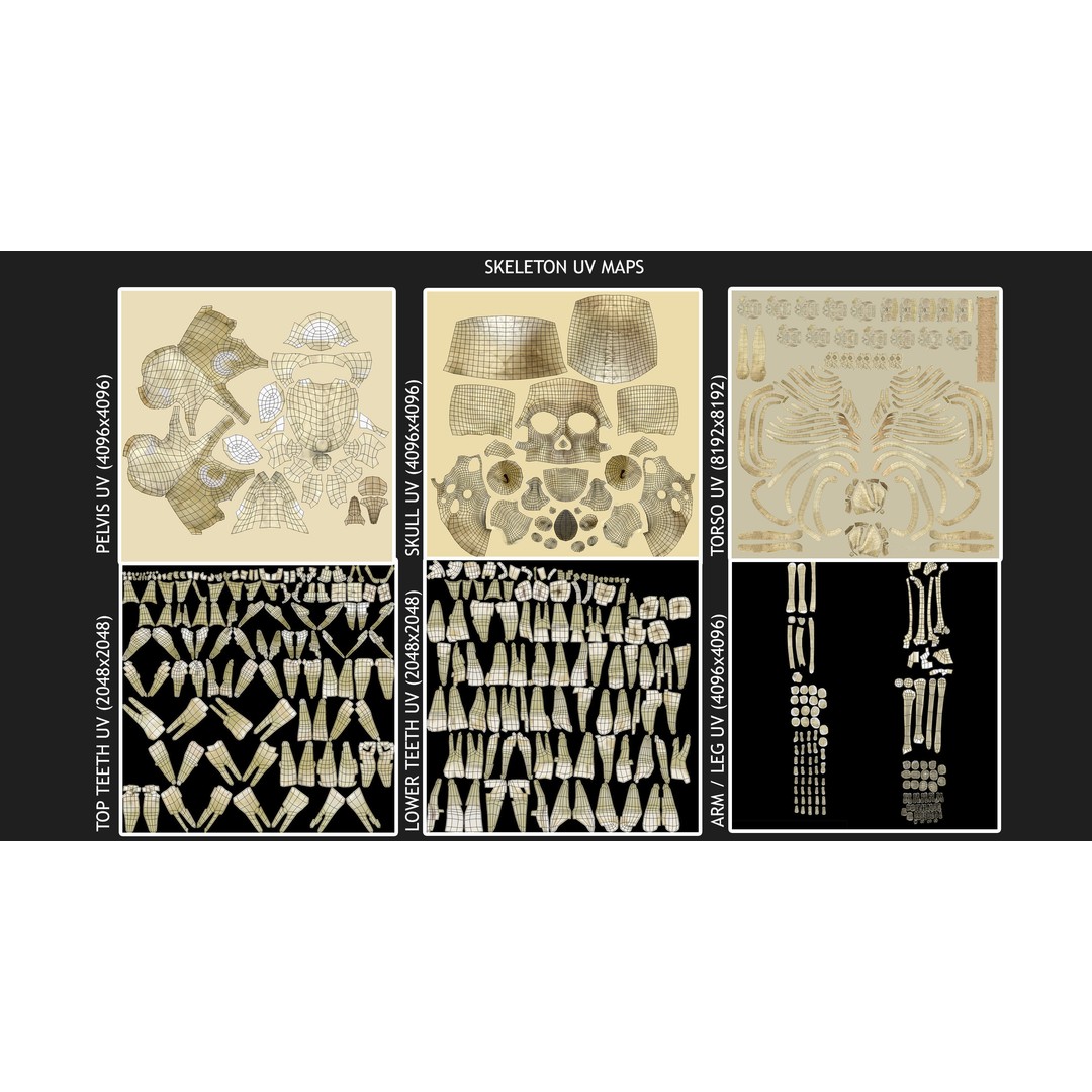 Full Body Anatomy 3D Model – Detailed Female & Male Anatomy, OBJ & FBX - View 88