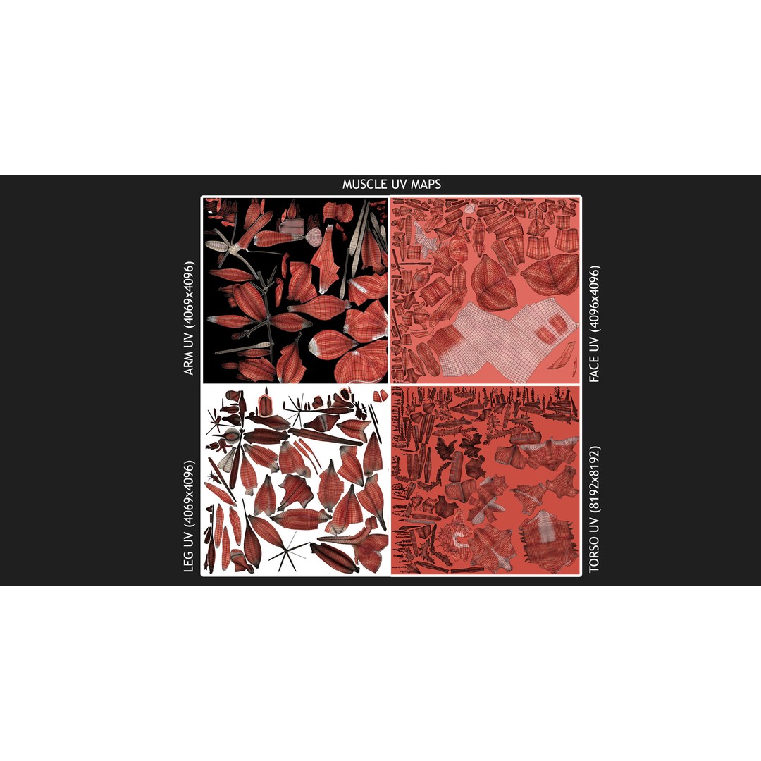 Full Body Anatomy 3D Model – Detailed Female & Male Anatomy, OBJ & FBX - View 89