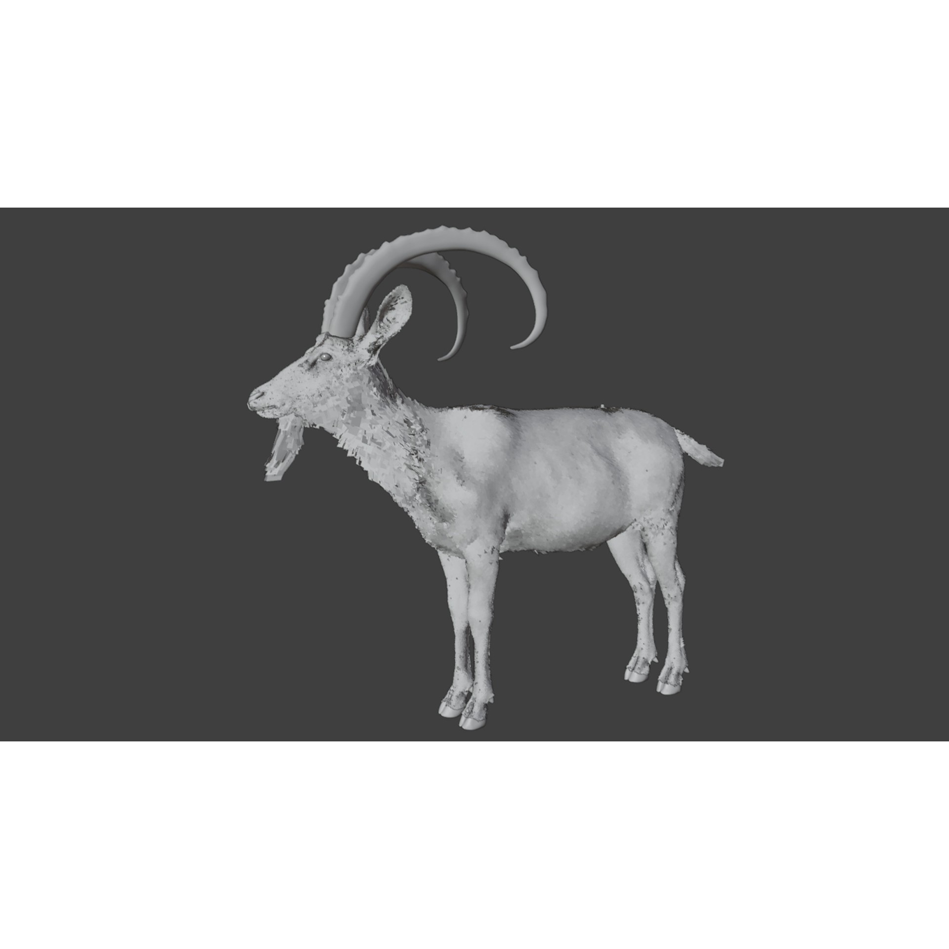 Nubian Ibex - Game-Ready 3D Model