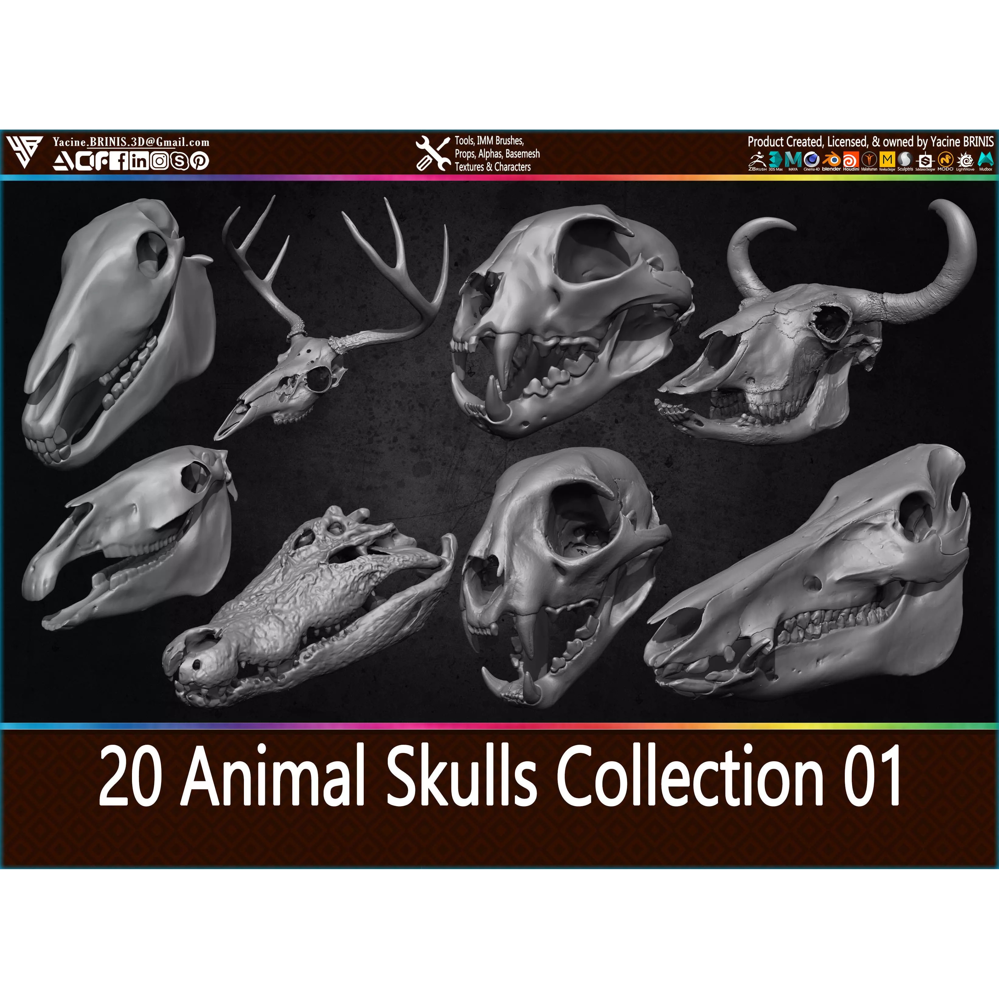 20 Animal Skulls Collection - Low-Poly Game-Ready 3D Model - View 2