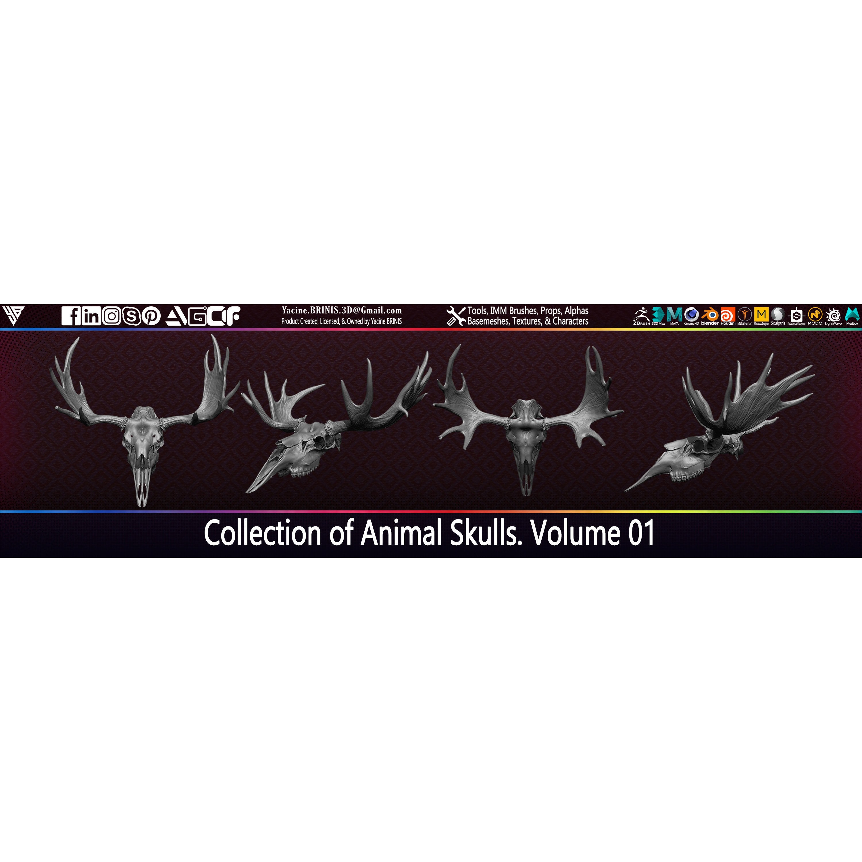 20 Animal Skulls Collection - Low-Poly Game-Ready 3D Model - View 29
