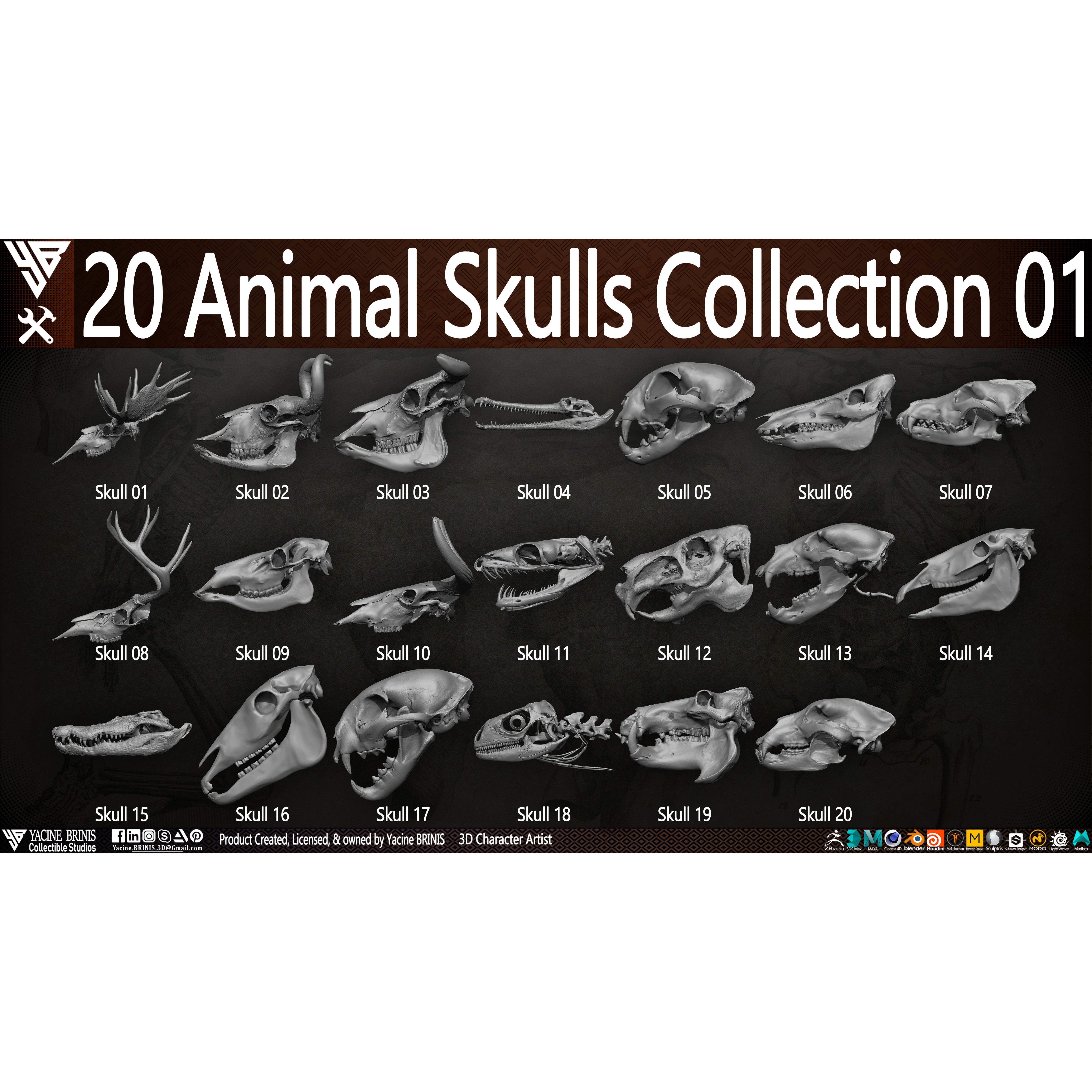 20 Animal Skulls Collection - Low-Poly Game-Ready 3D Model - View 3