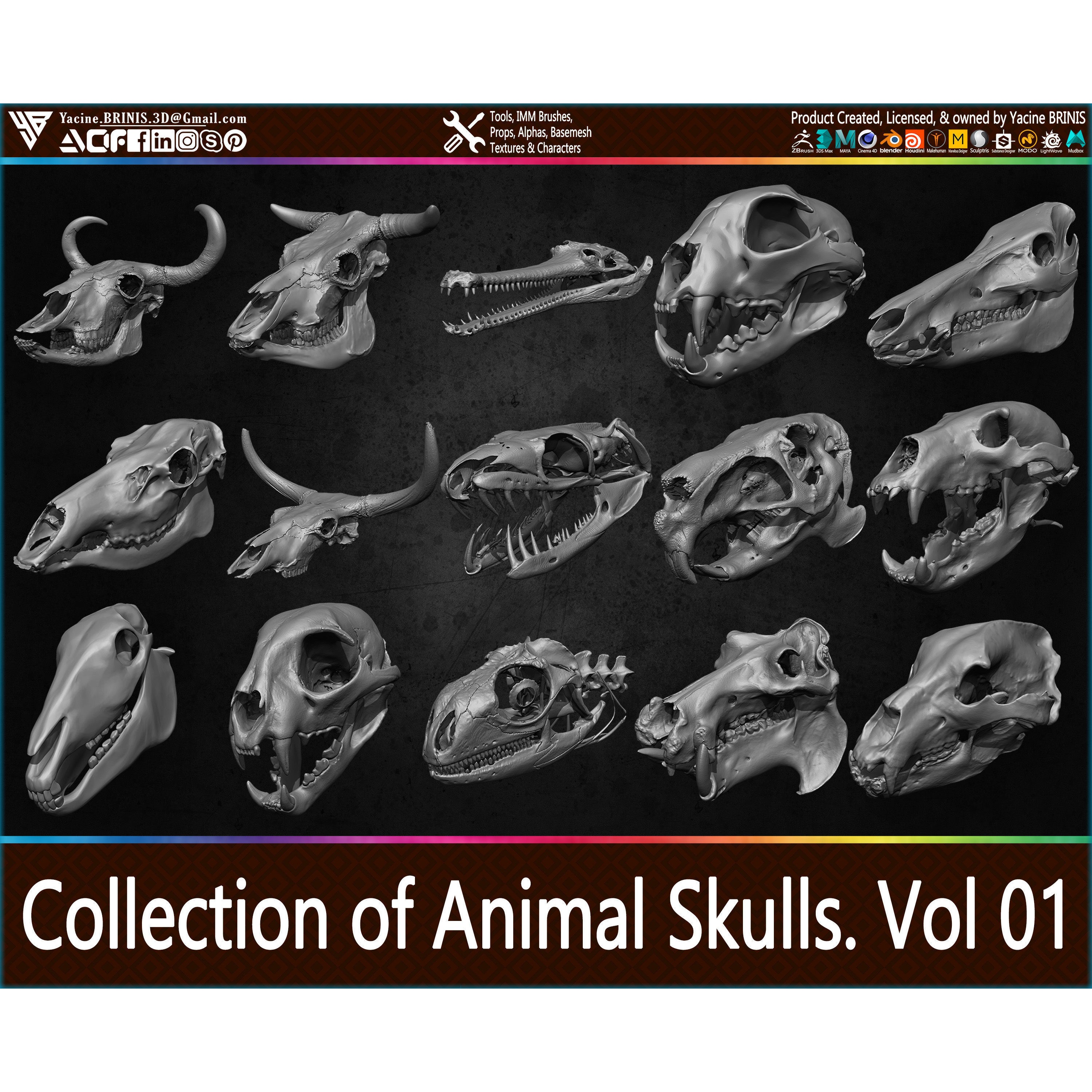 20 Animal Skulls Collection - Low-Poly Game-Ready 3D Model - View 31