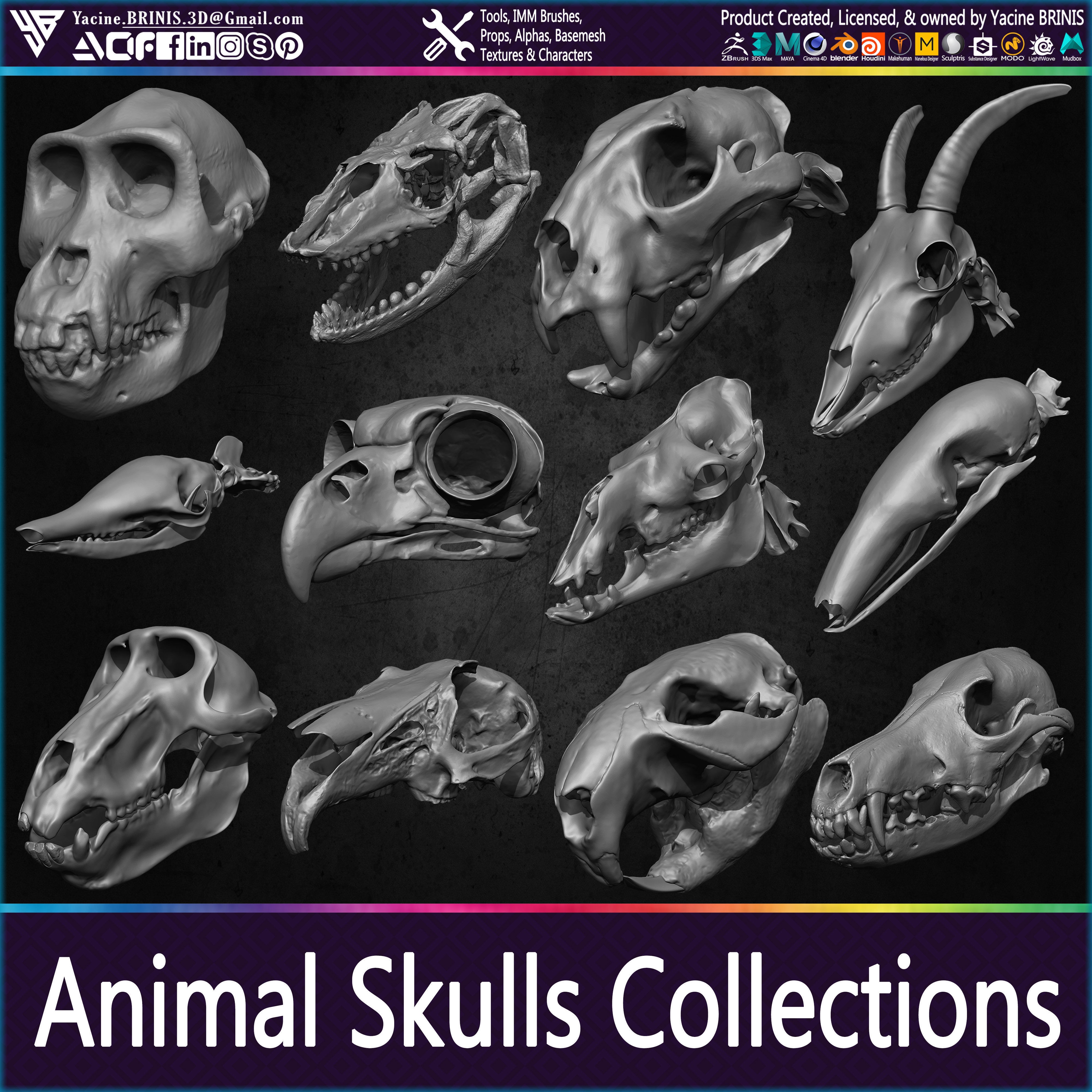 20 Animal Skulls Collection - Low-Poly Game-Ready 3D Model - View 32