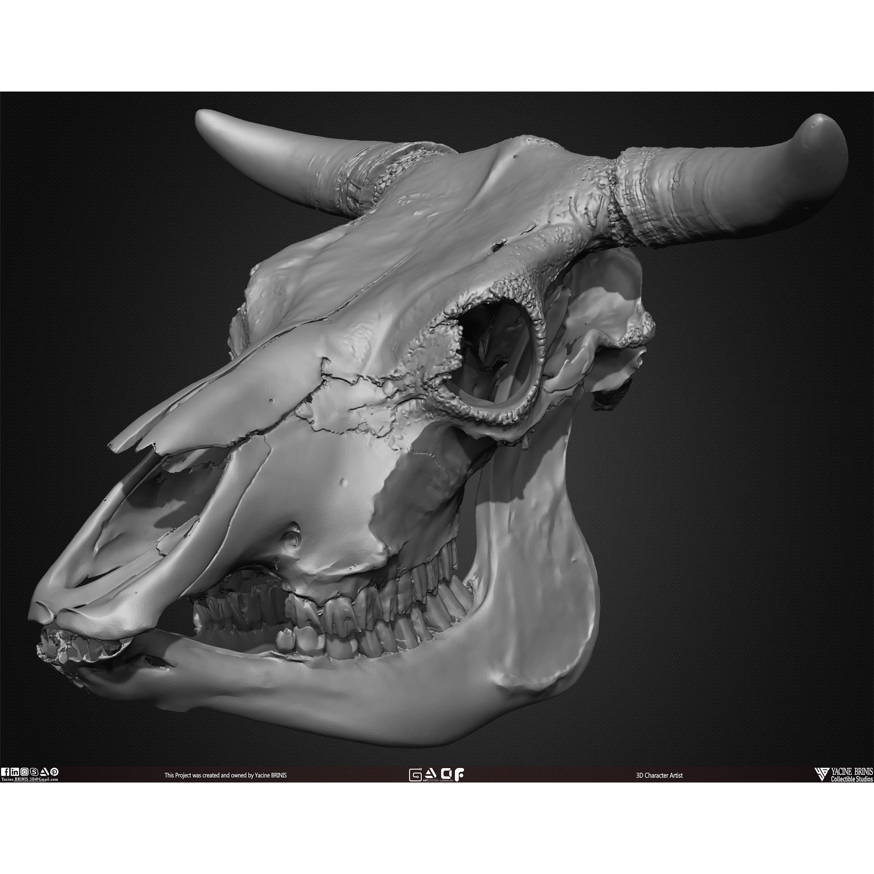 20 Animal Skulls Collection - Low-Poly Game-Ready 3D Model - View 33