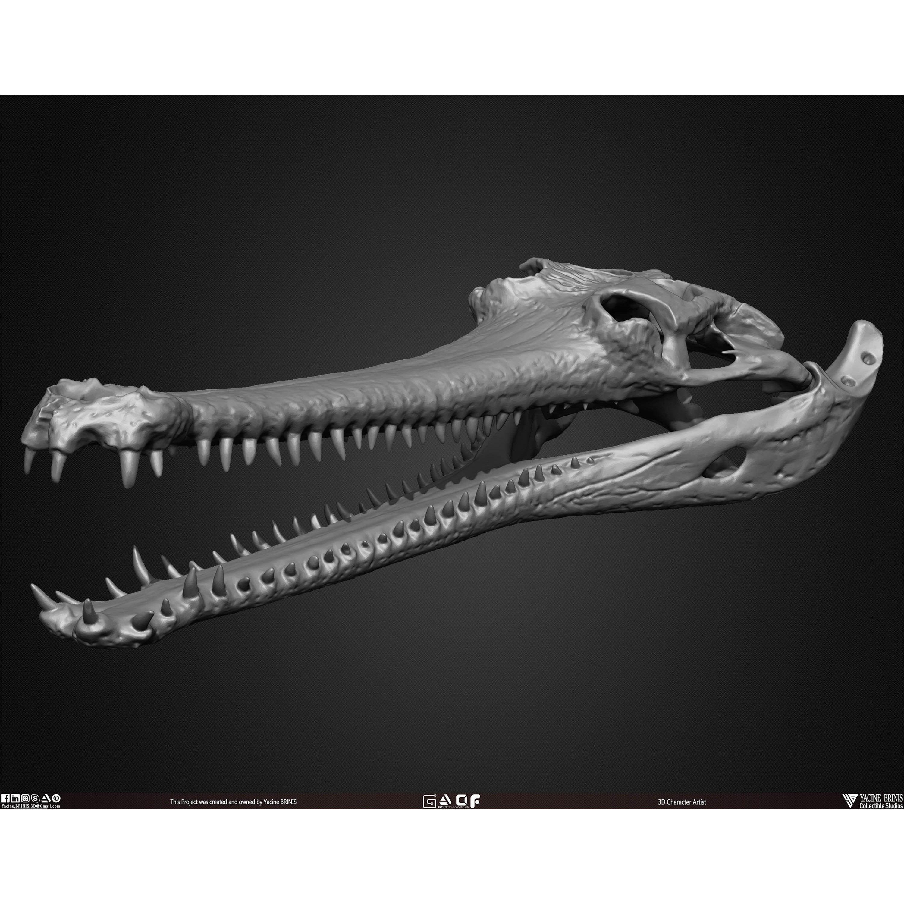 20 Animal Skulls Collection - Low-Poly Game-Ready 3D Model - View 35