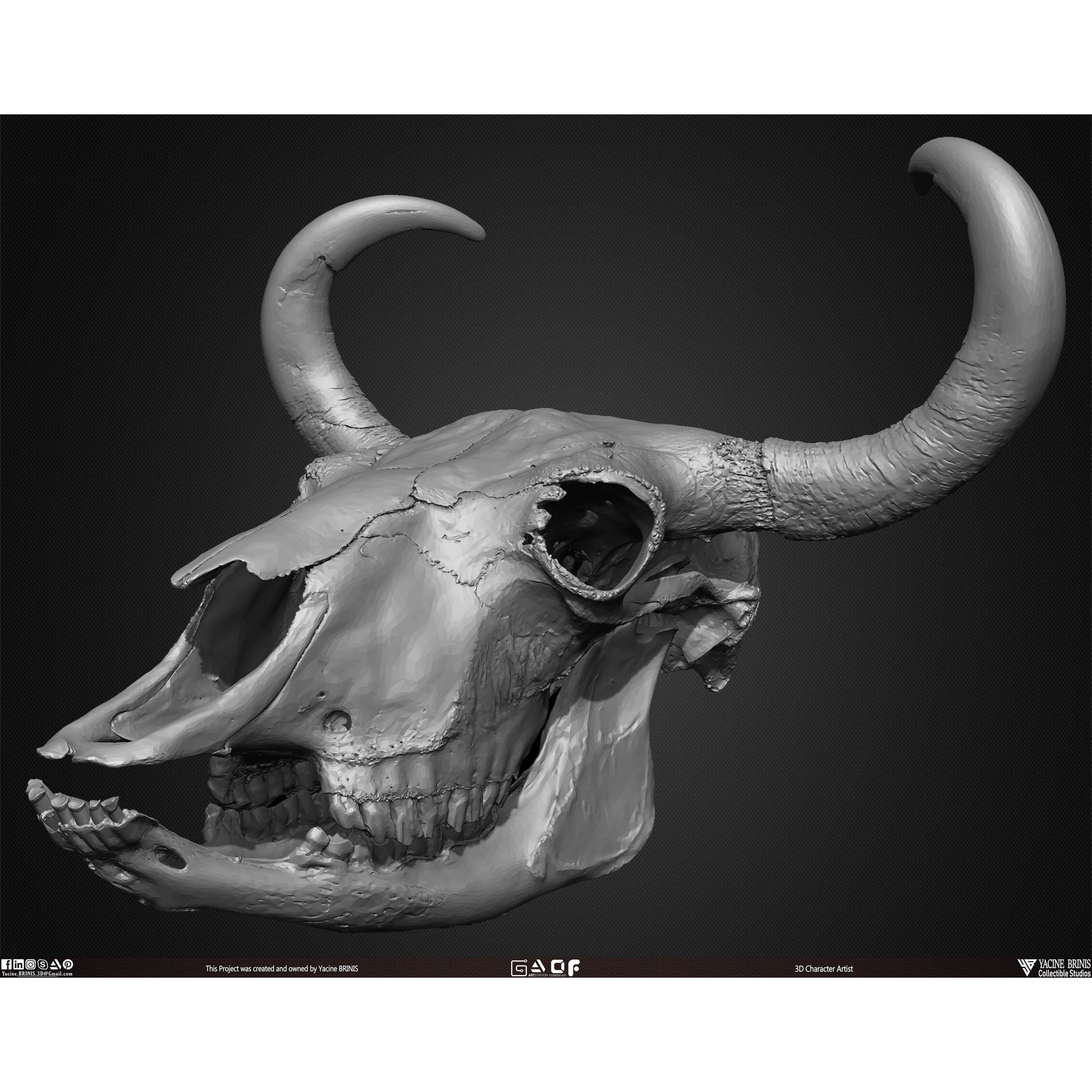 20 Animal Skulls Collection - Low-Poly Game-Ready 3D Model - View 37