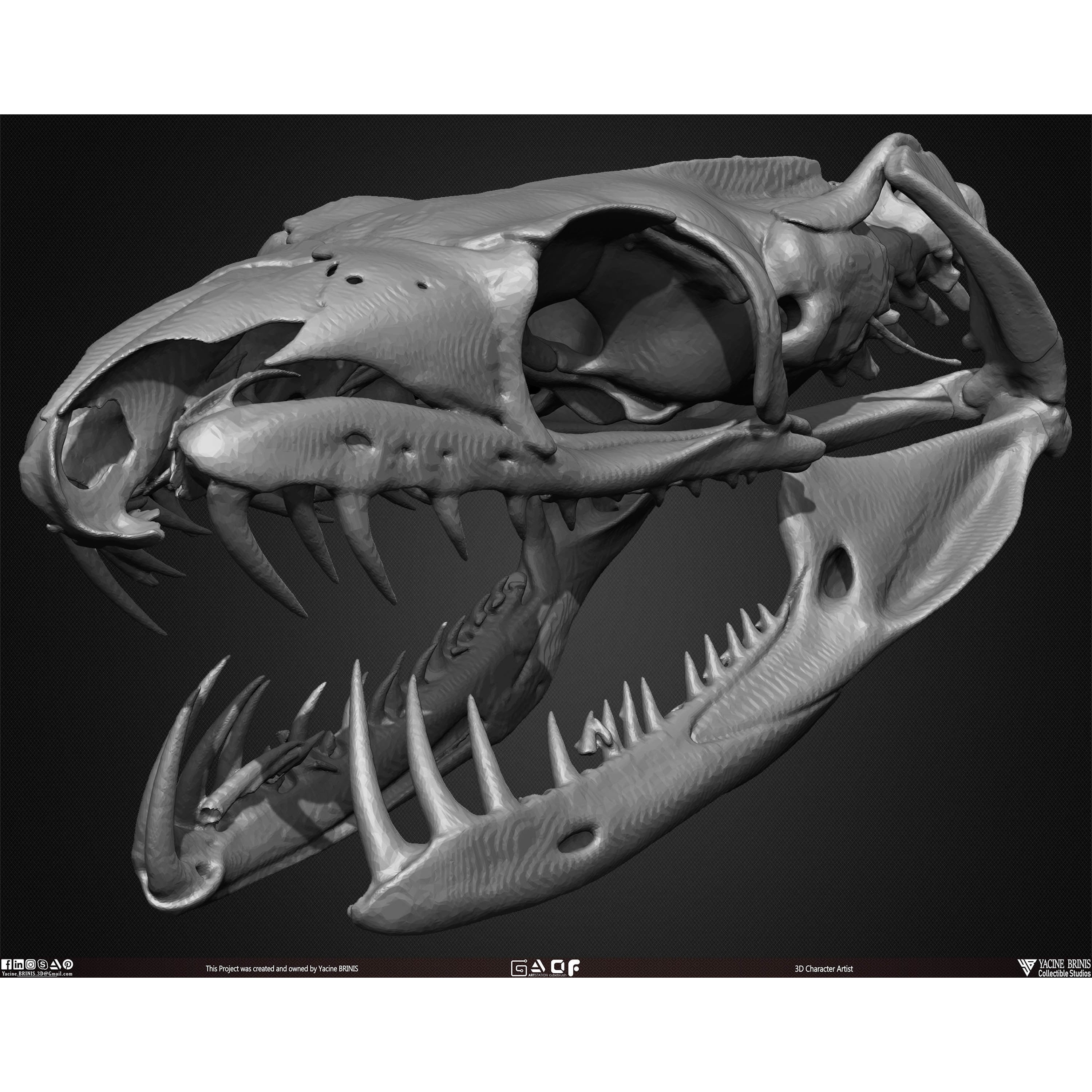 20 Animal Skulls Collection - Low-Poly Game-Ready 3D Model - View 42