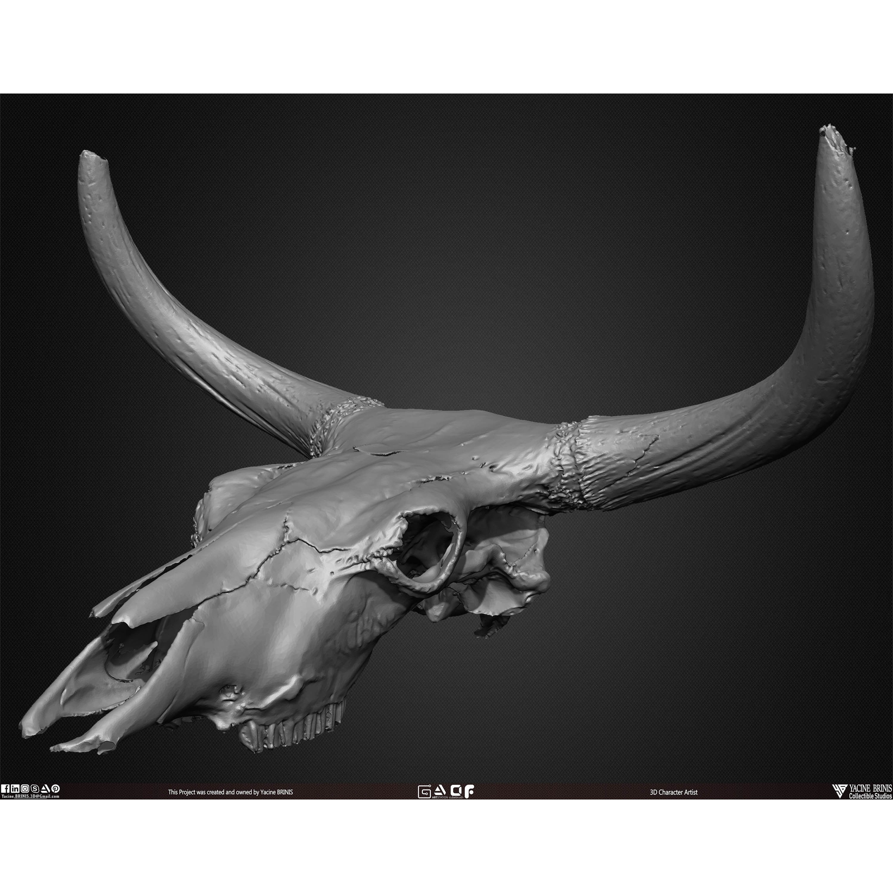 20 Animal Skulls Collection - Low-Poly Game-Ready 3D Model - View 44