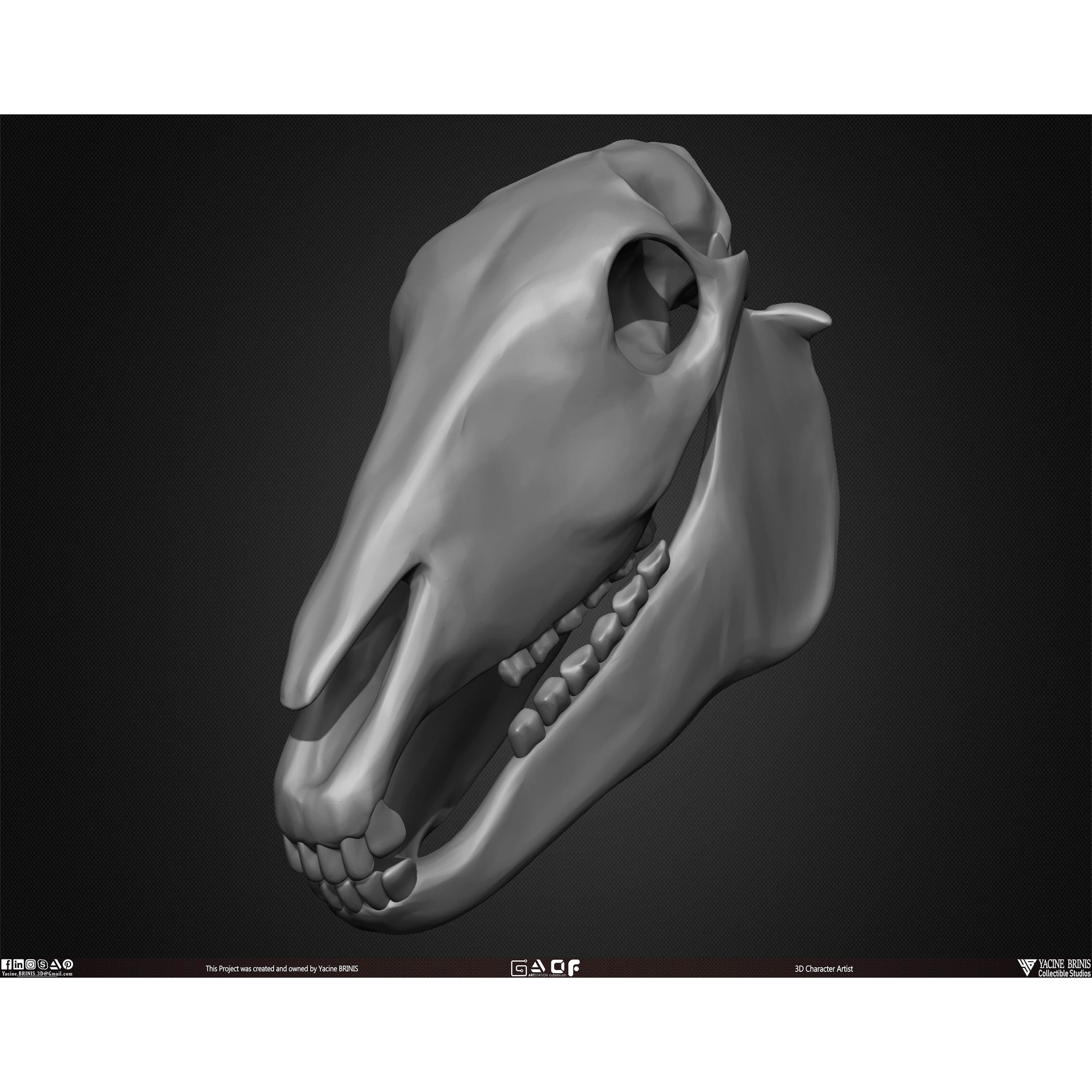 20 Animal Skulls Collection - Low-Poly Game-Ready 3D Model - View 46