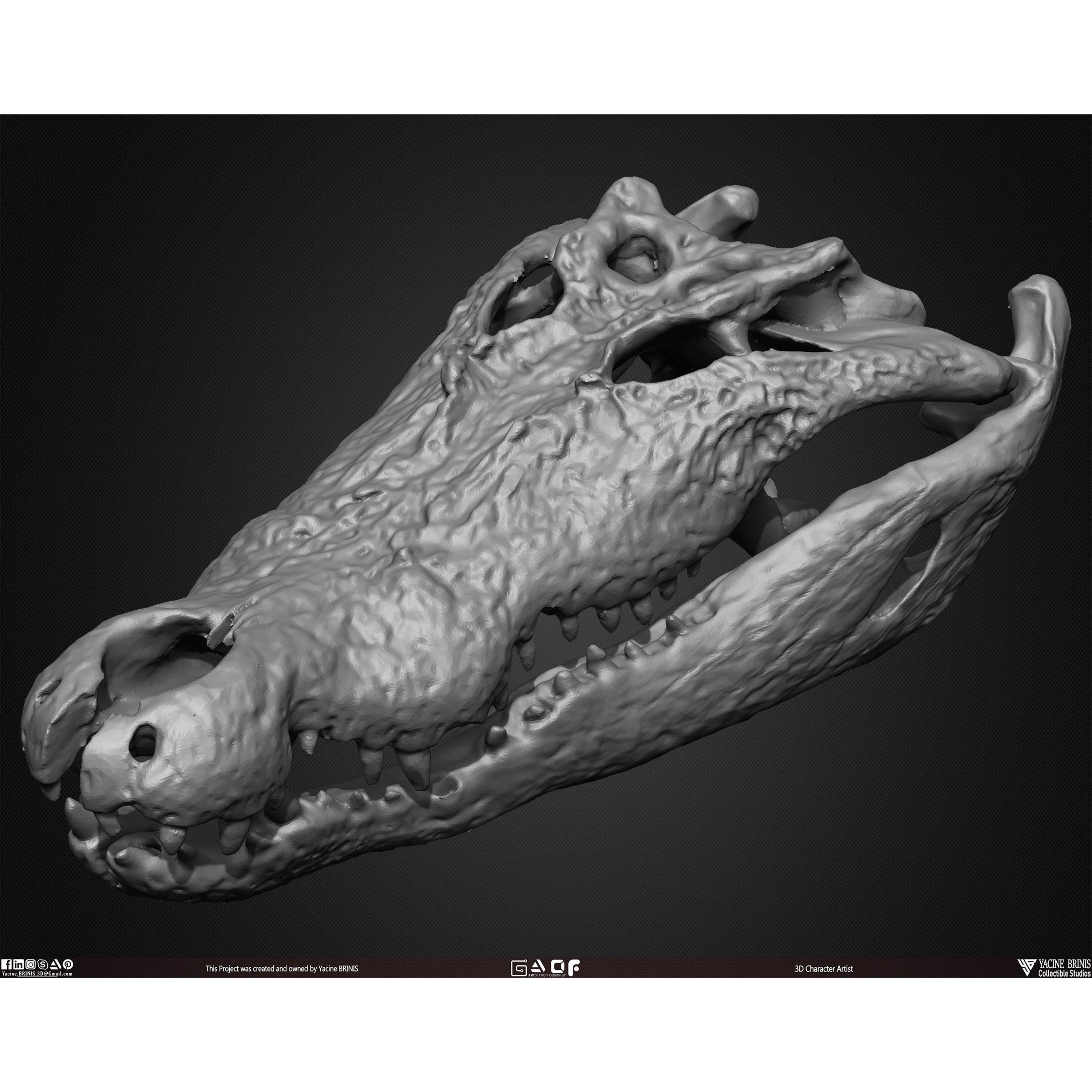 20 Animal Skulls Collection - Low-Poly Game-Ready 3D Model - View 48