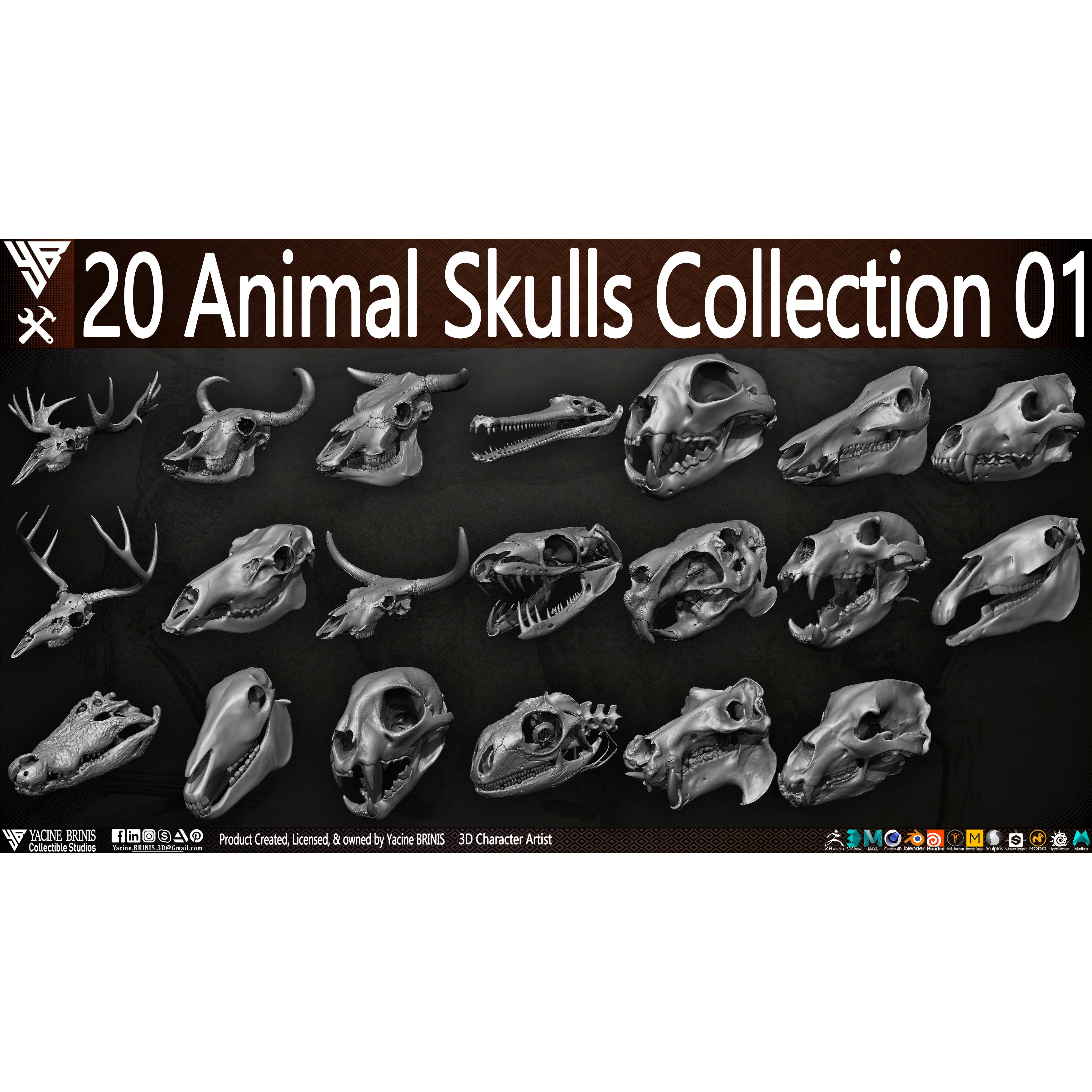 20 Animal Skulls Collection - Low-Poly Game-Ready 3D Model - View 6