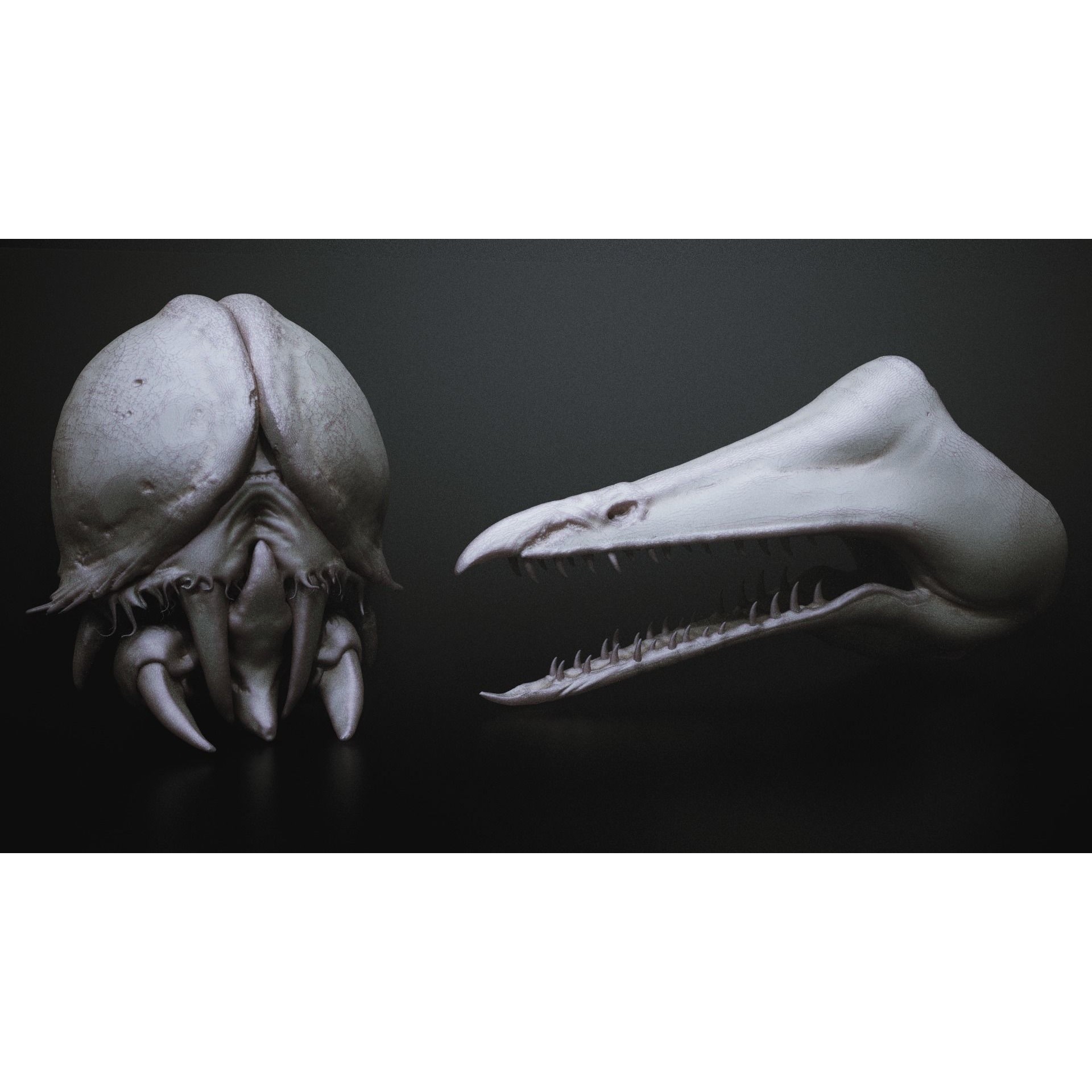 Monster Mouths - High-Poly 3D Model - View 10