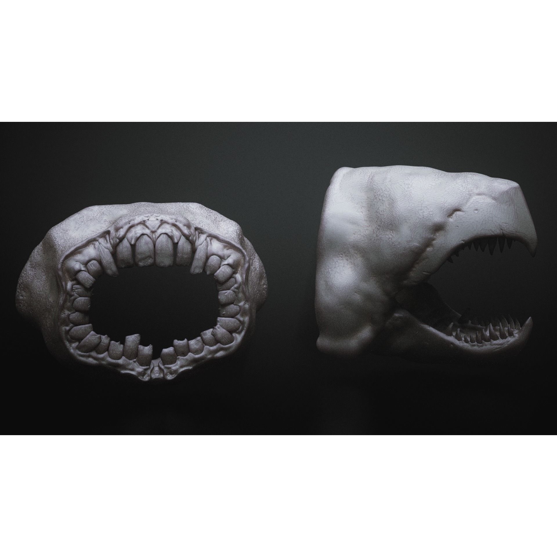 Monster Mouths - High-Poly 3D Model - View 14