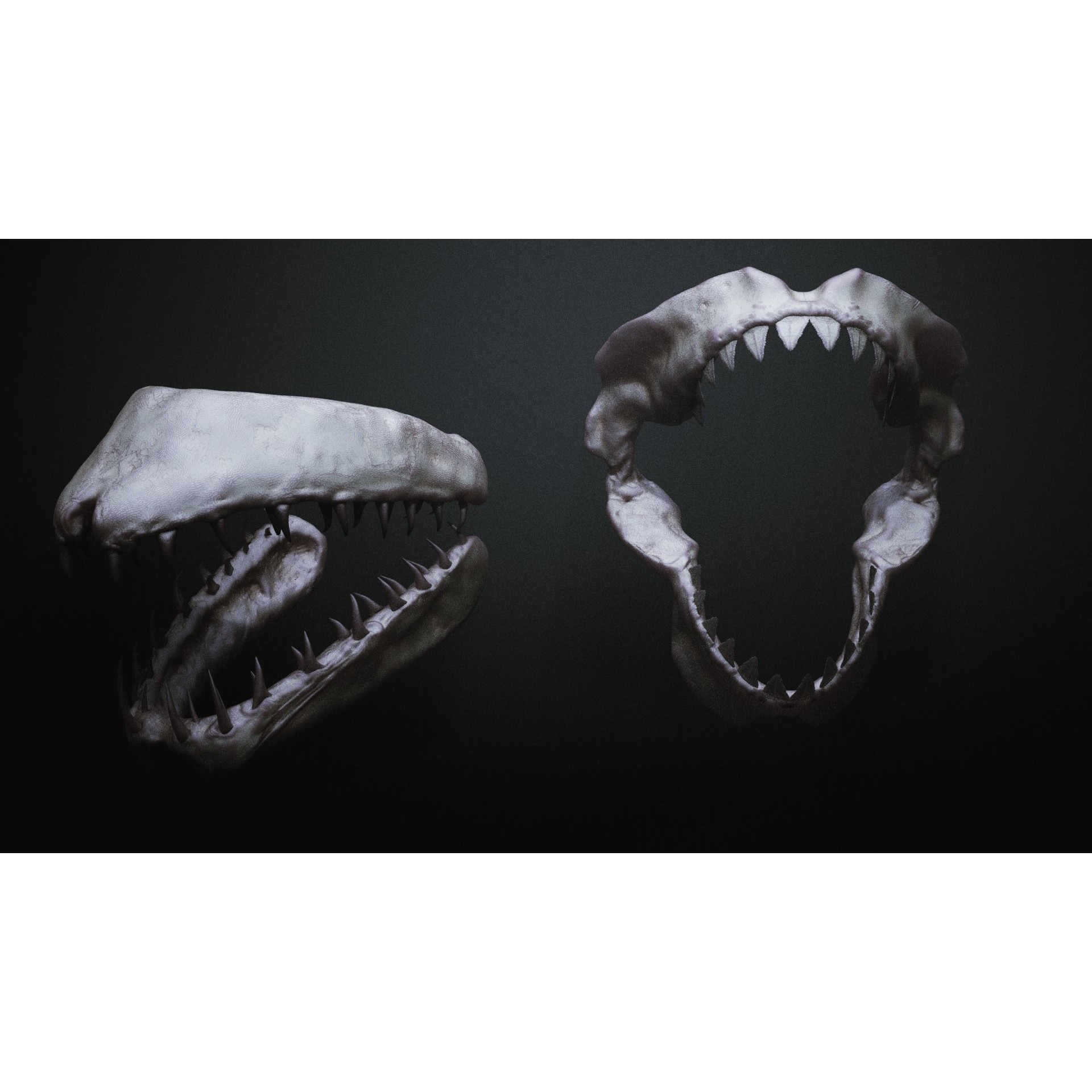 Monster Mouths - High-Poly 3D Model - View 16