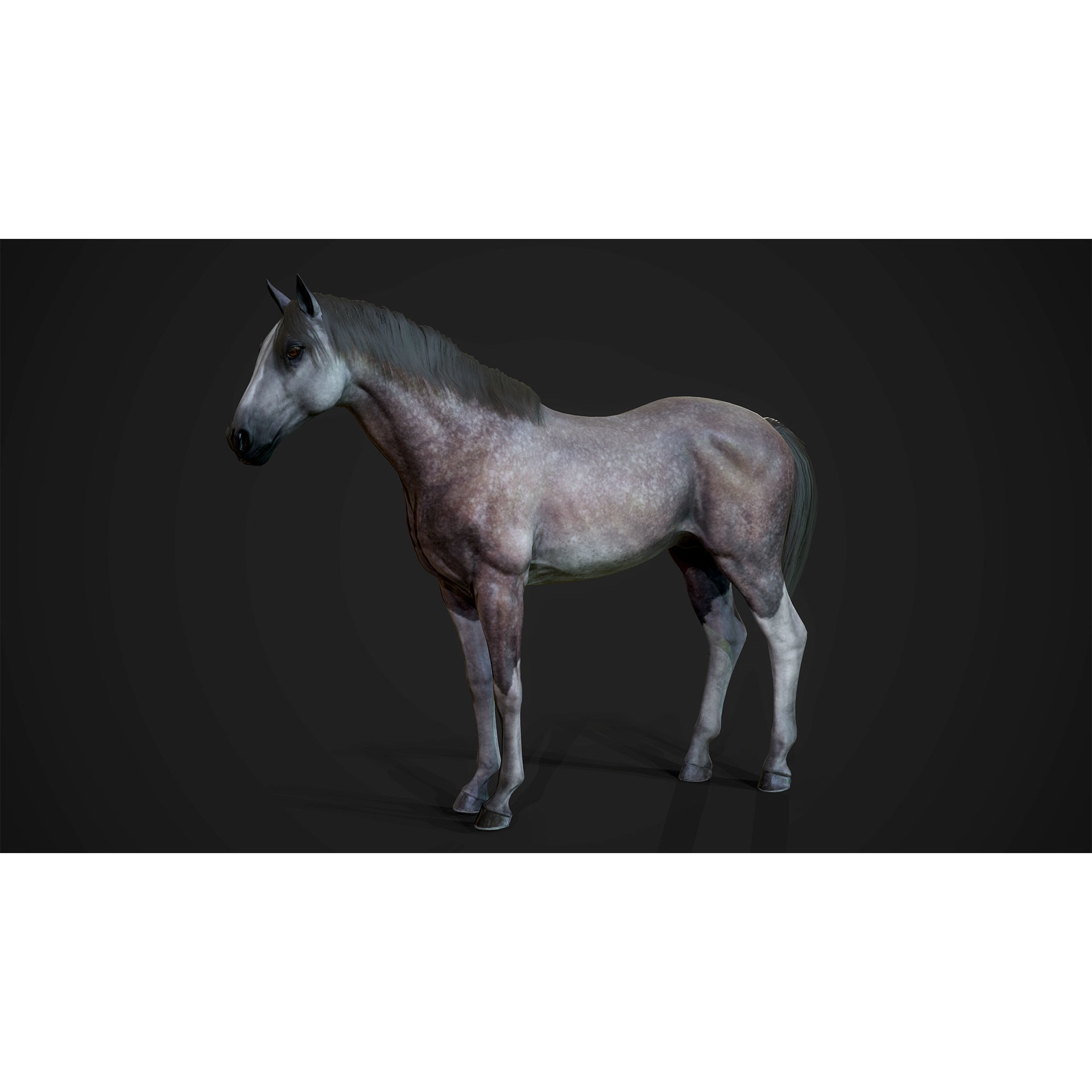 Stallions - Low-Poly Game-Ready 3D Model - View 11