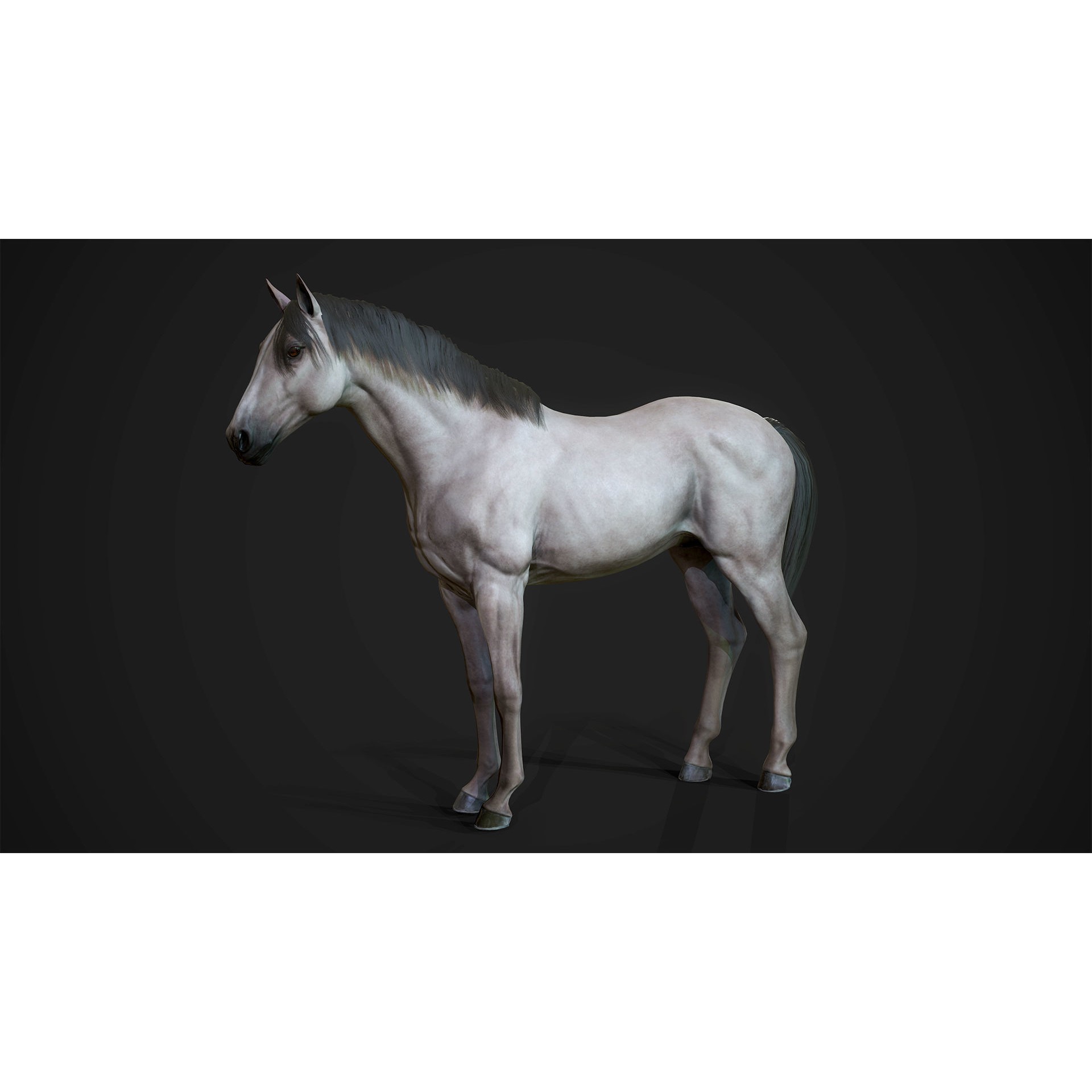 Stallions - Low-Poly Game-Ready 3D Model - View 12