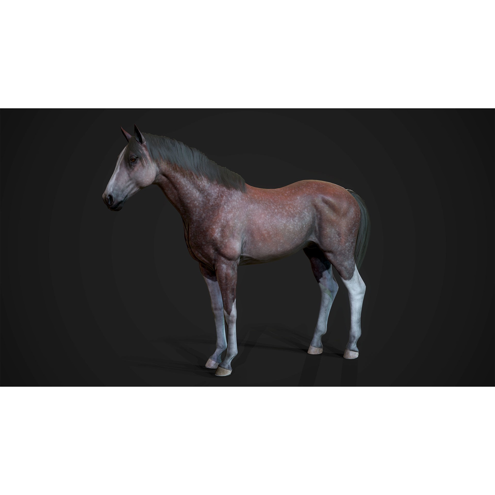 Stallions - Low-Poly Game-Ready 3D Model - View 4