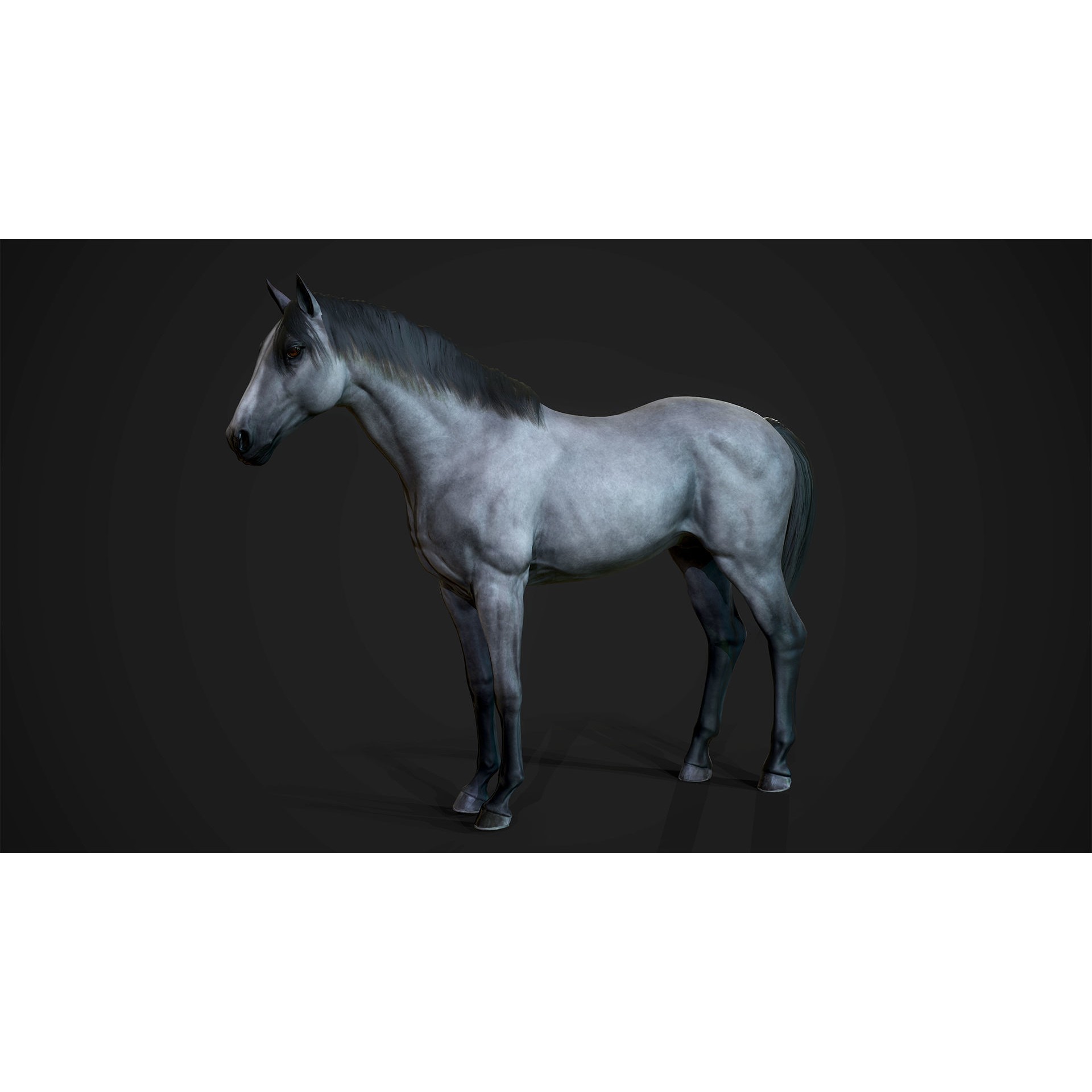 Stallions - Low-Poly Game-Ready 3D Model - View 8