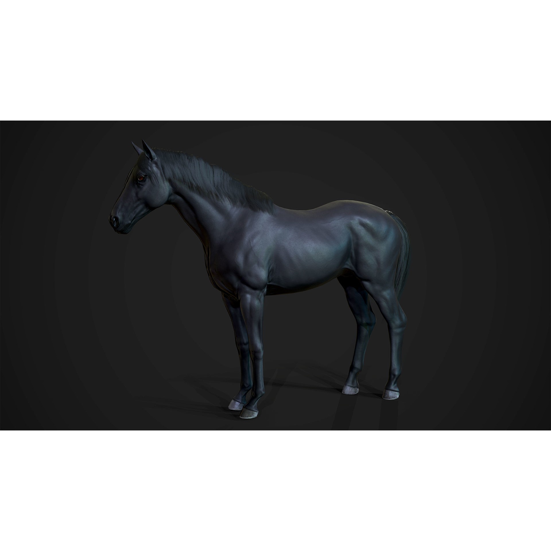 Stallions - Low-Poly Game-Ready 3D Model - View 9