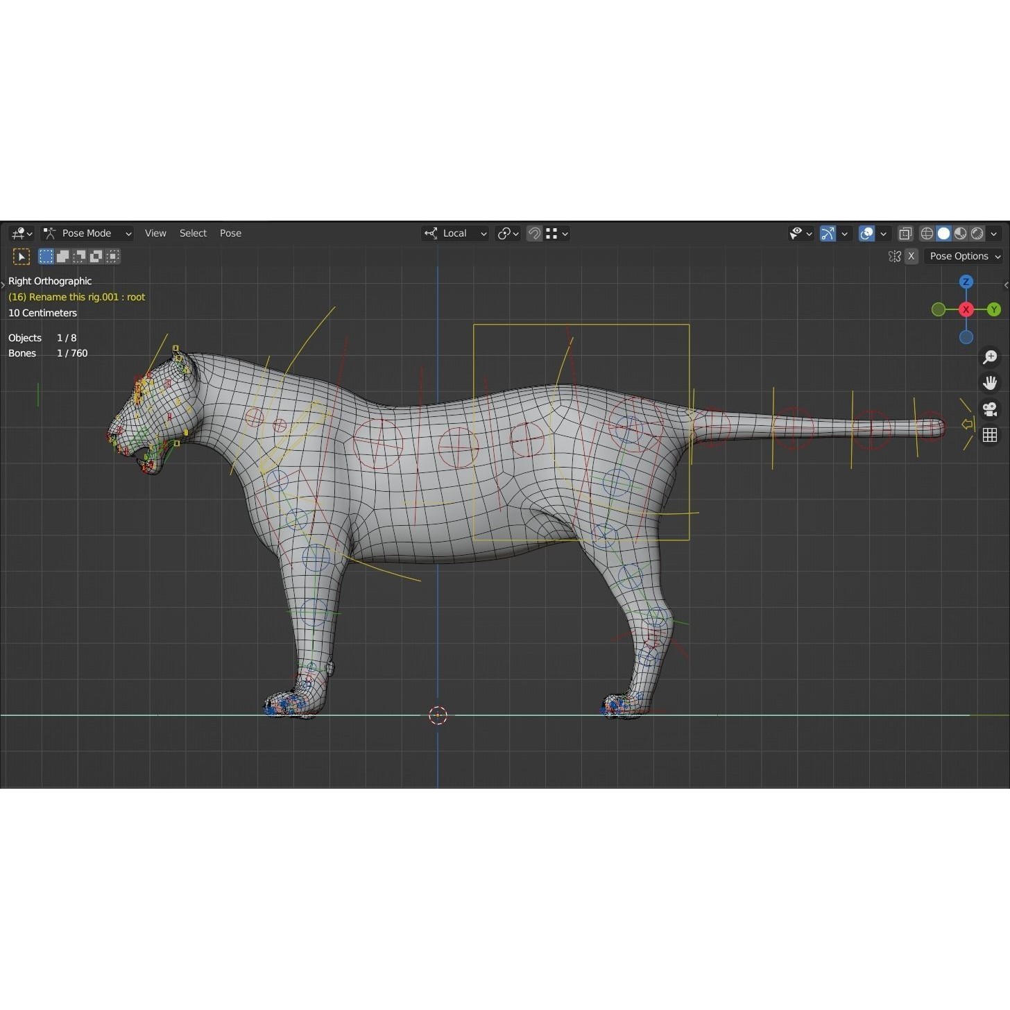 Siberian Tiger - Game-Ready 3D Model - View 15