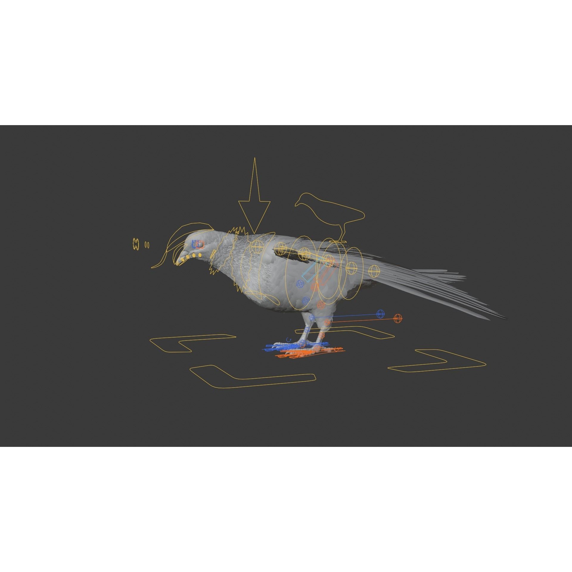 Pigeon Animated VFX - Game-Ready 3D Model - View 14
