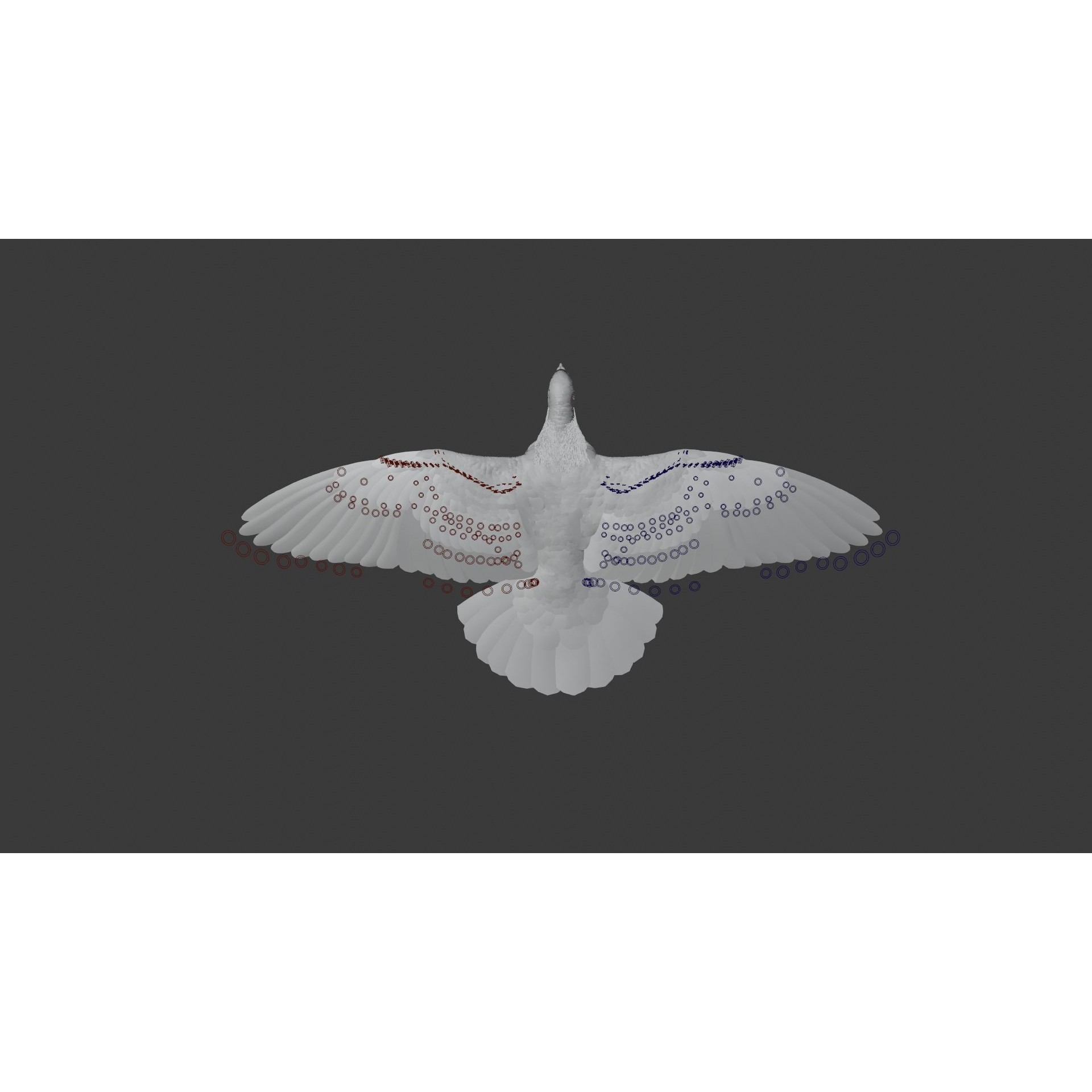 Pigeon Animated VFX - Game-Ready 3D Model - View 16