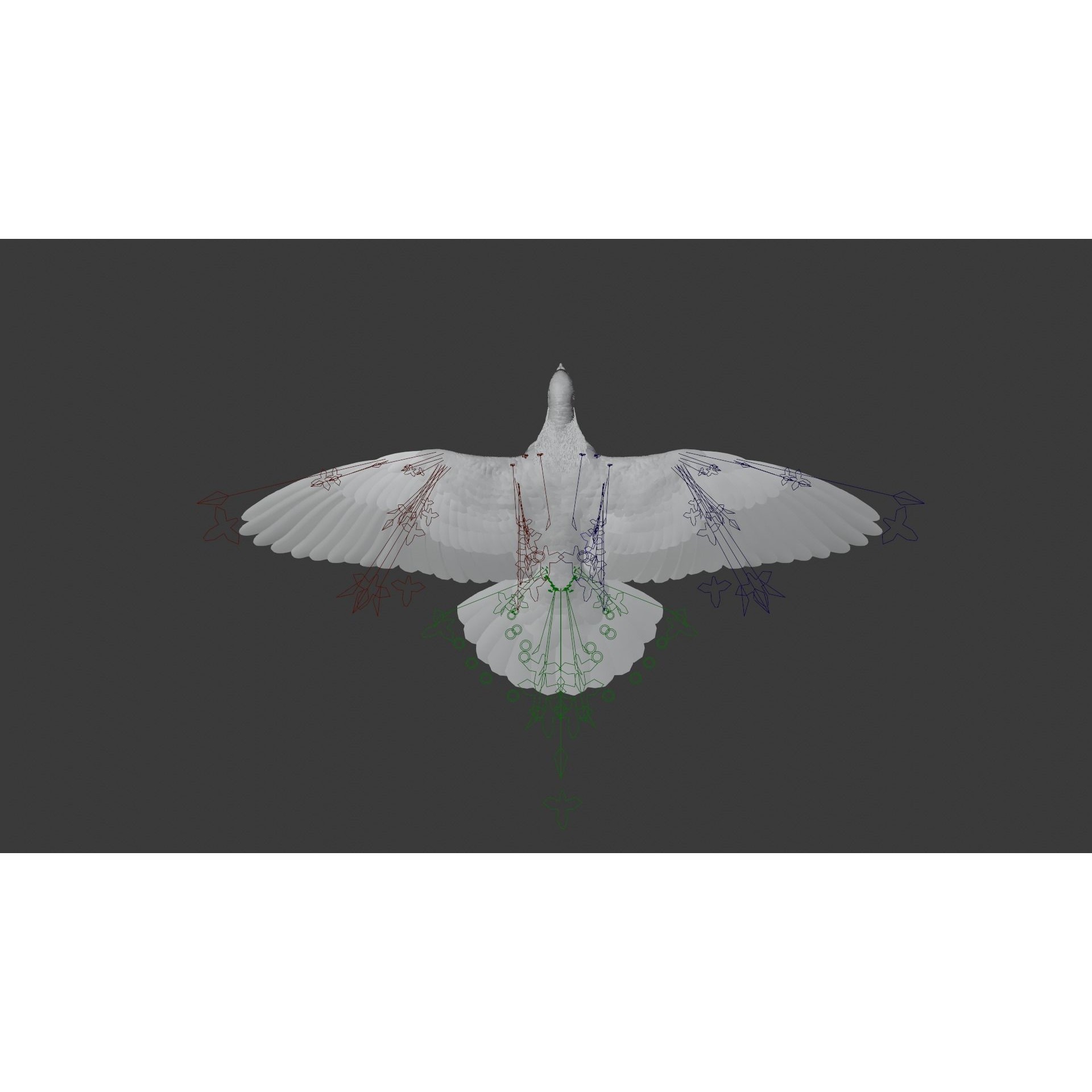 Pigeon Animated VFX - Game-Ready 3D Model - View 17