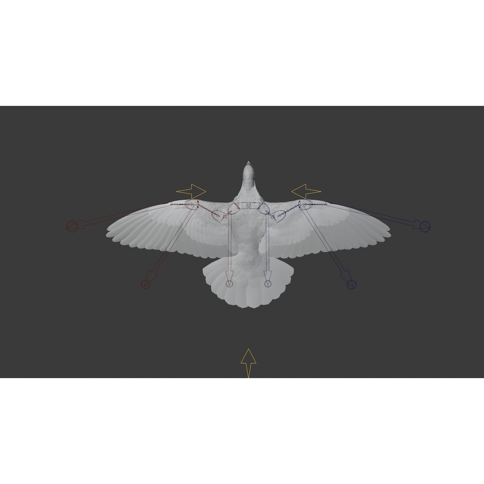 Pigeon Animated VFX - Game-Ready 3D Model - View 18