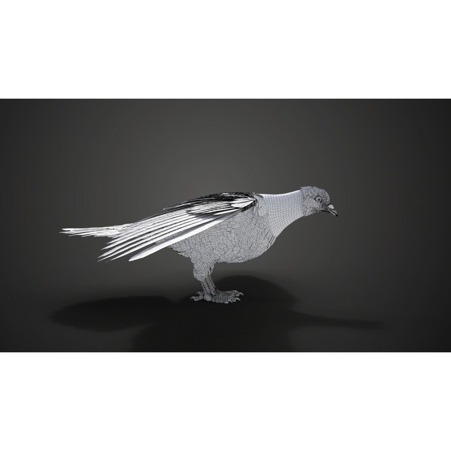 Pigeon Animated VFX - Game-Ready 3D Model - View 19