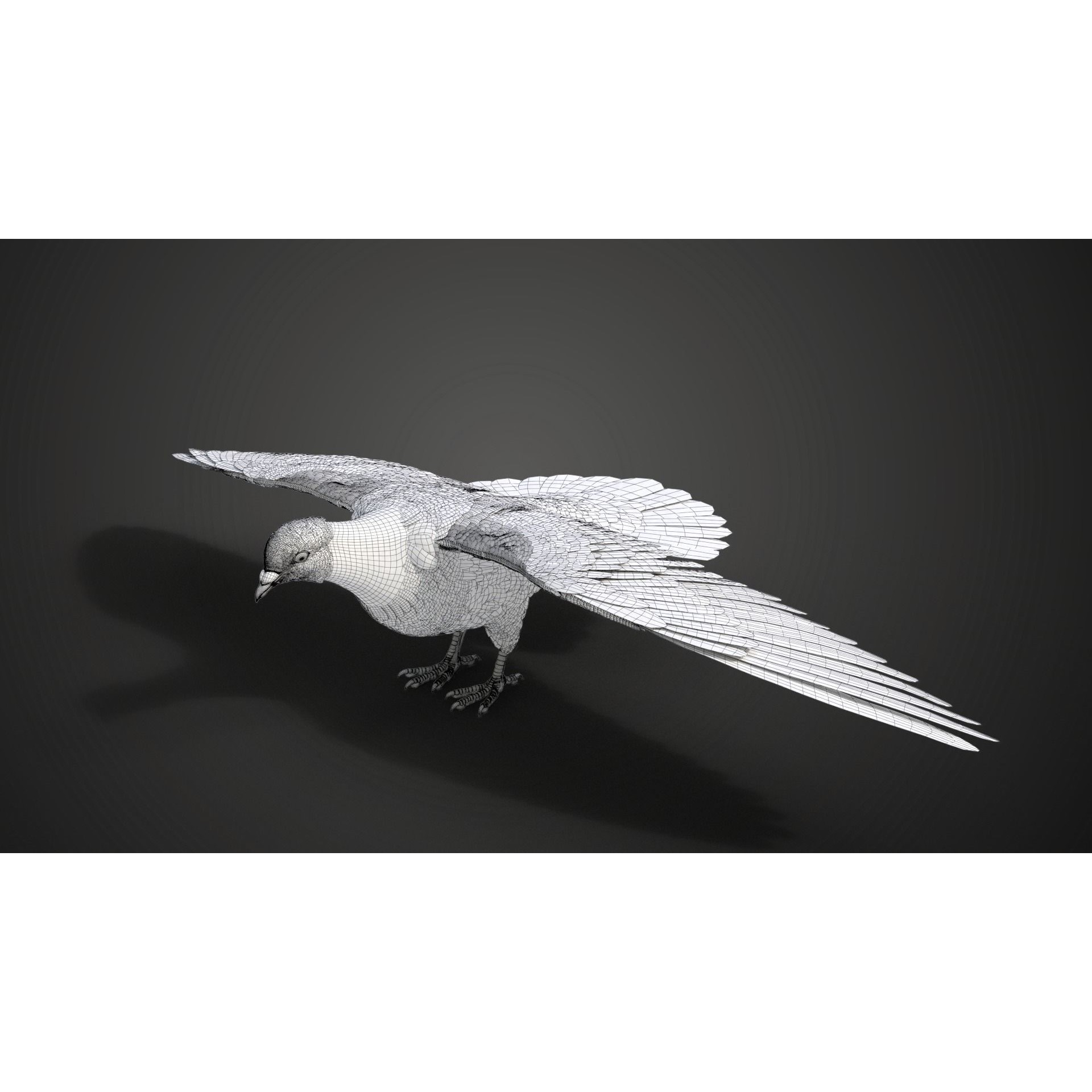 Pigeon Animated VFX - Game-Ready 3D Model - View 20