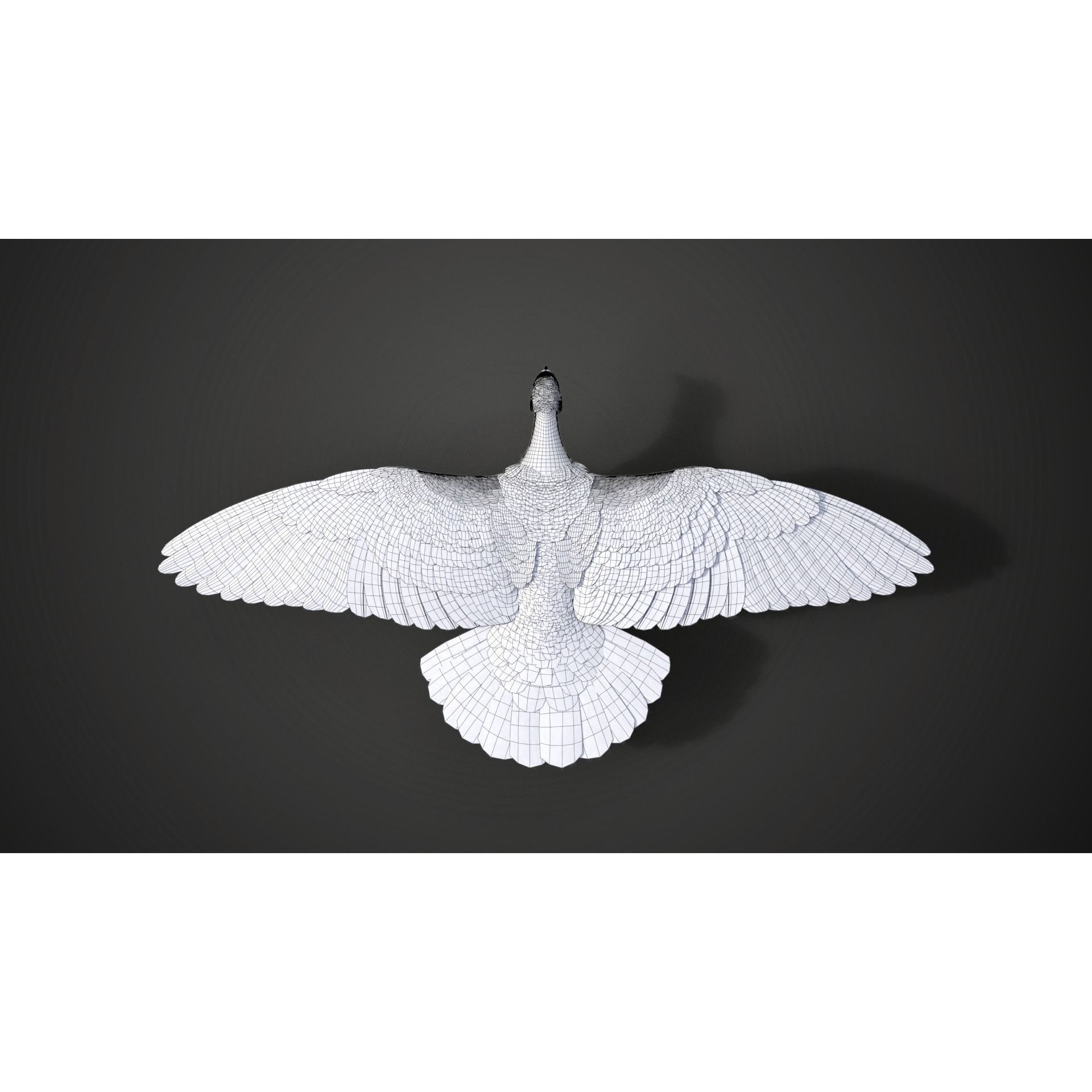 Pigeon Animated VFX - Game-Ready 3D Model - View 22