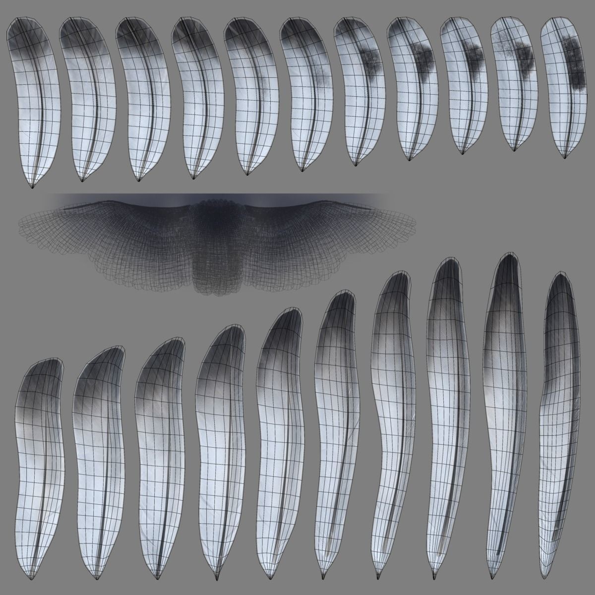 Pigeon Animated VFX - Game-Ready 3D Model - View 24