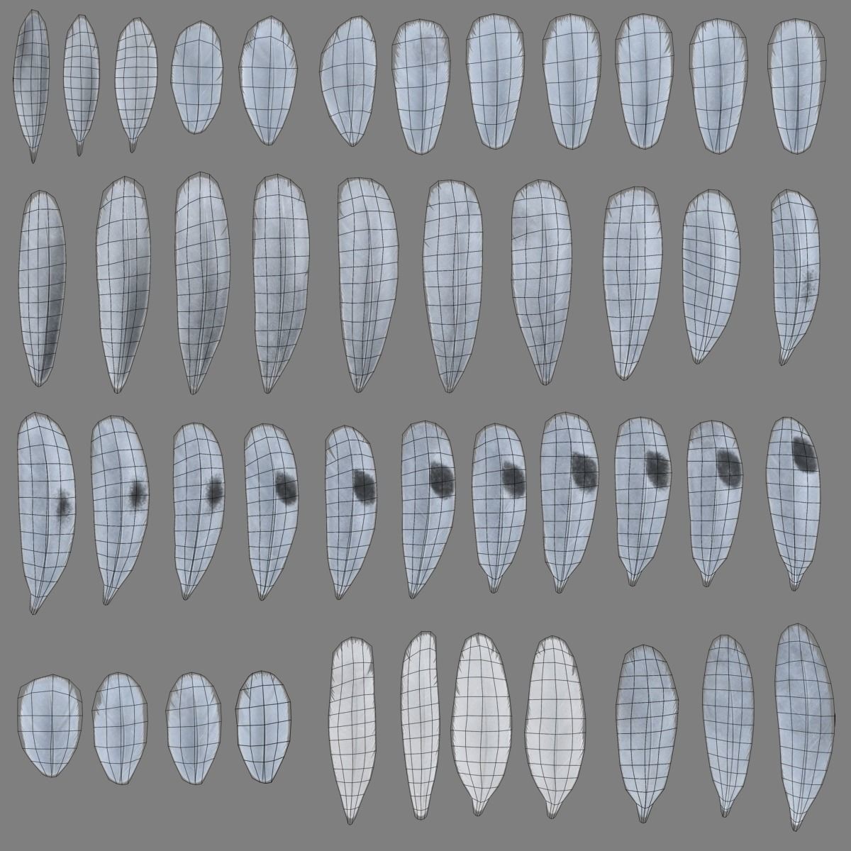 Pigeon Animated VFX - Game-Ready 3D Model - View 26