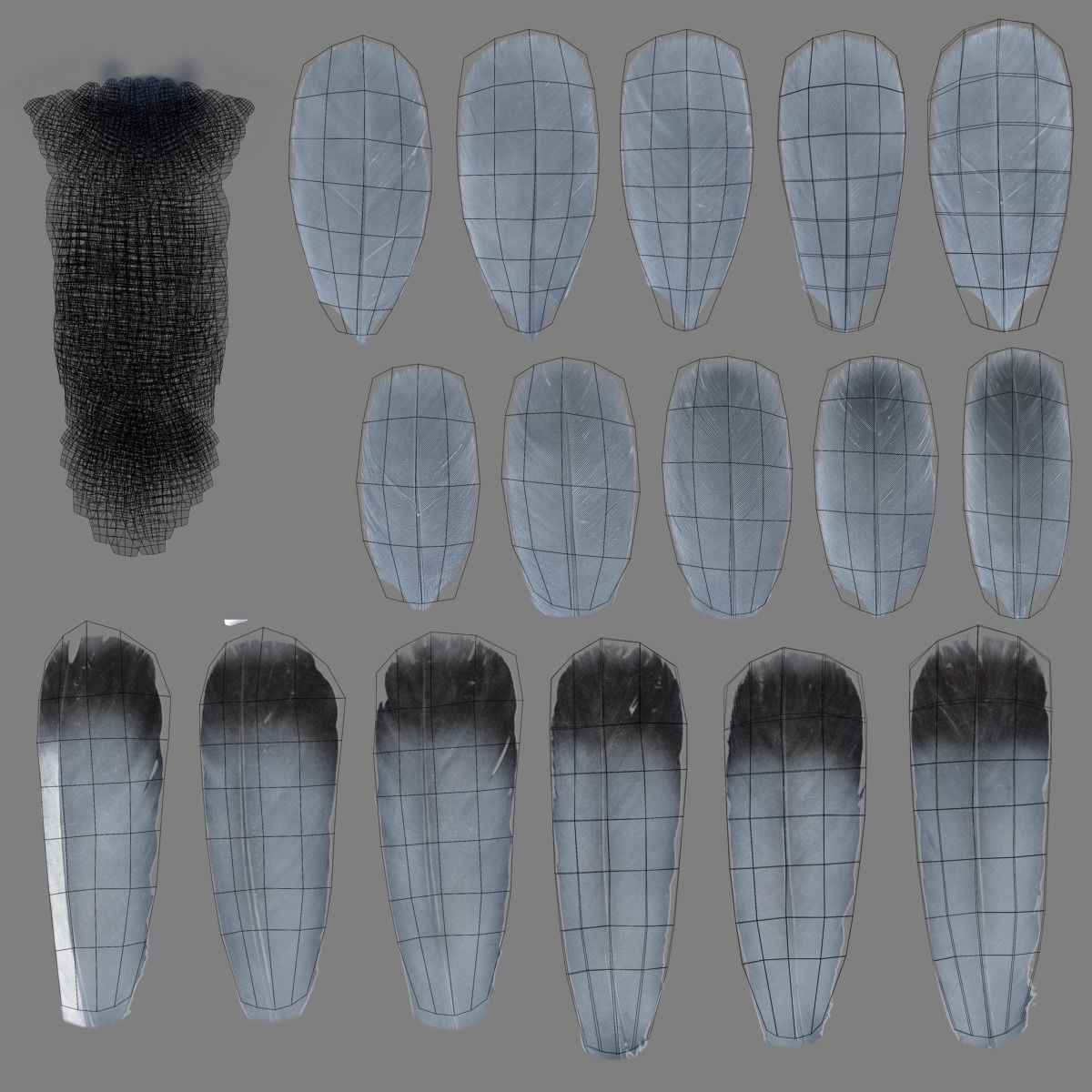 Pigeon Animated VFX - Game-Ready 3D Model - View 27