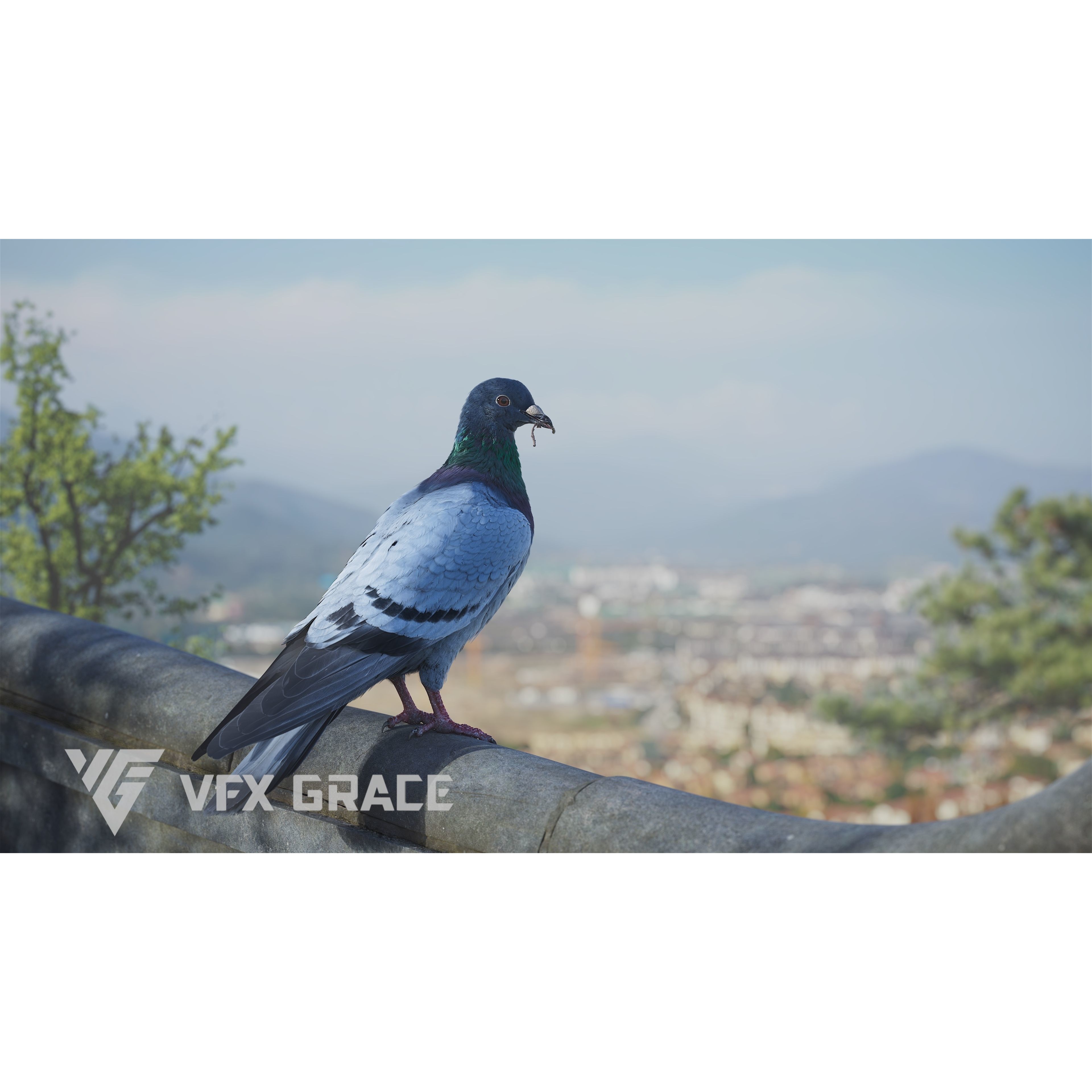 Pigeon Animated VFX - Game-Ready 3D Model - View 4