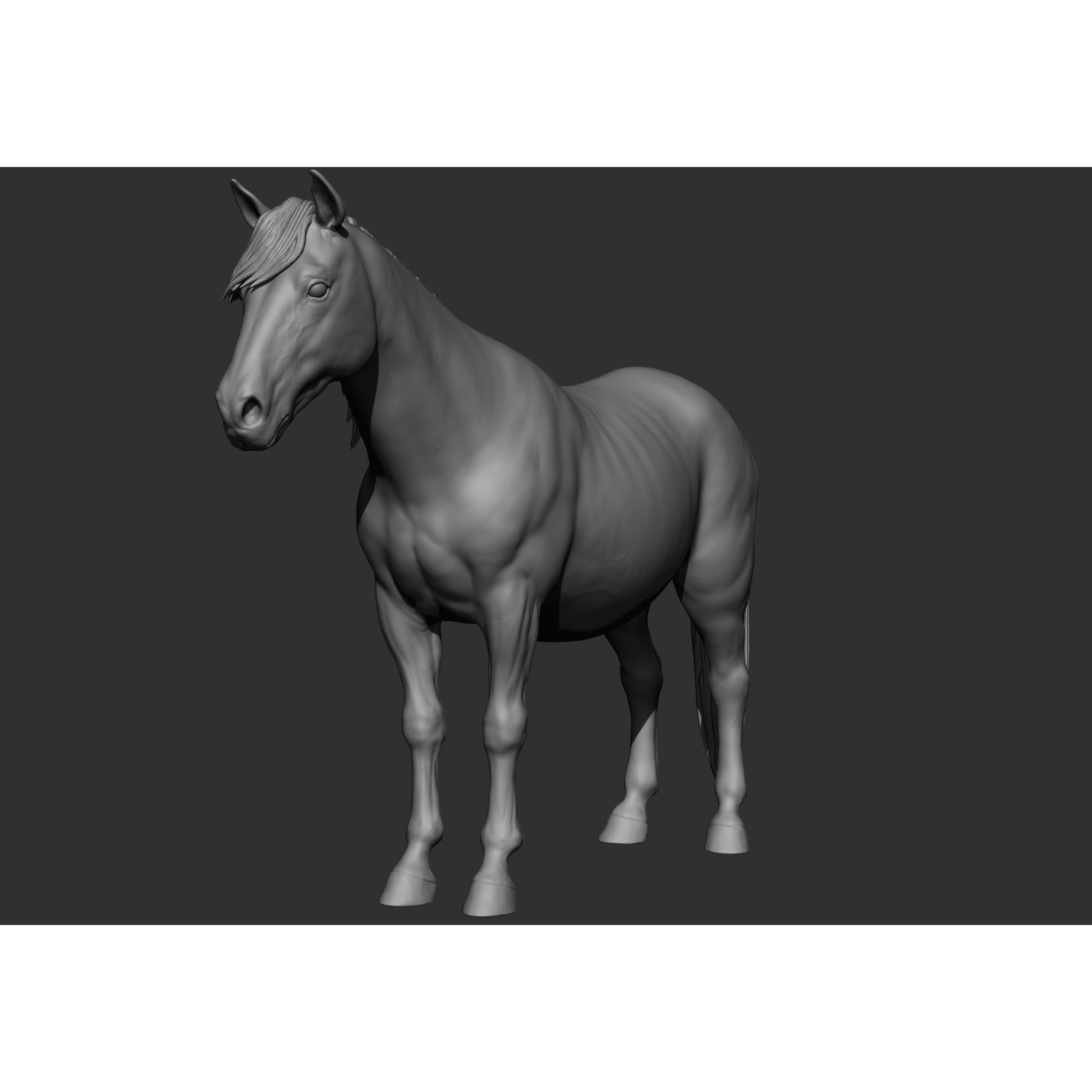 6 Horse Types - High-Poly 3D Model