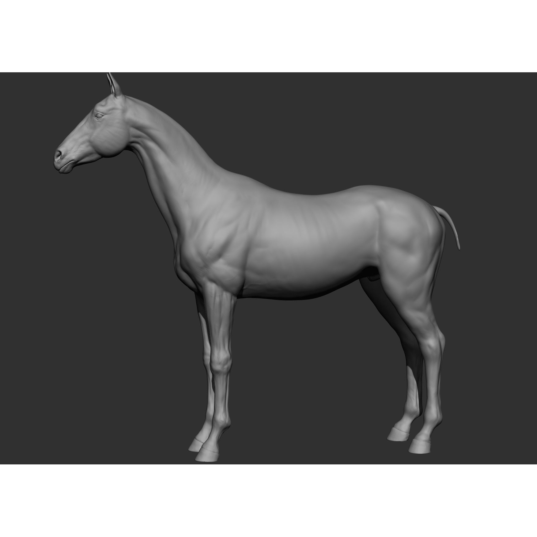 6 Horse Types - High-Poly 3D Model - View 100
