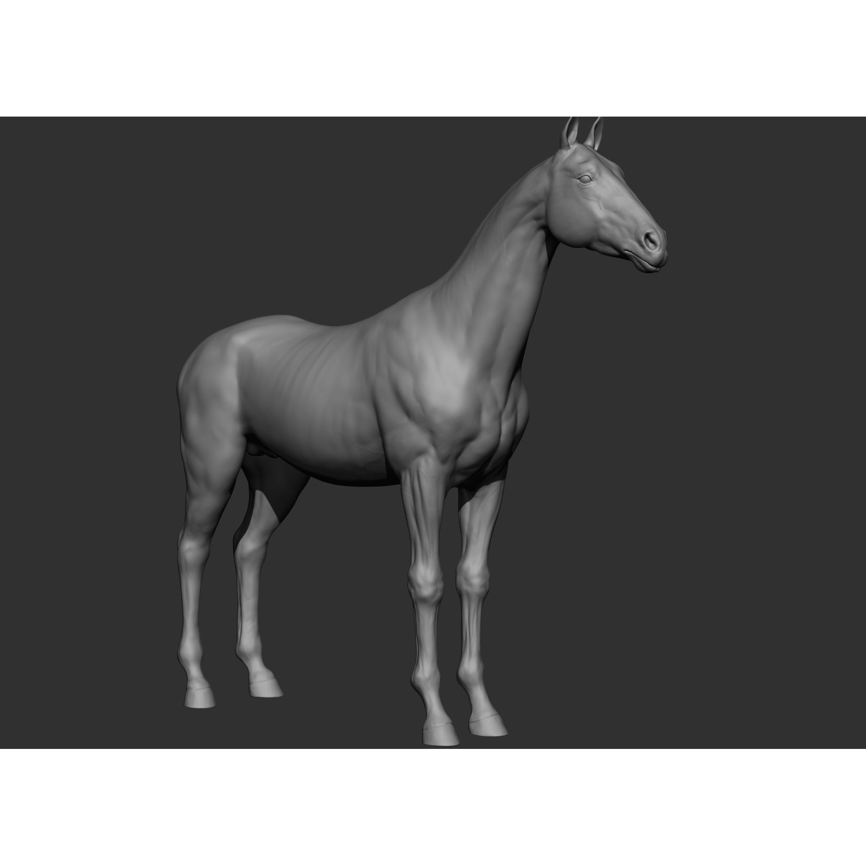 6 Horse Types - High-Poly 3D Model - View 102