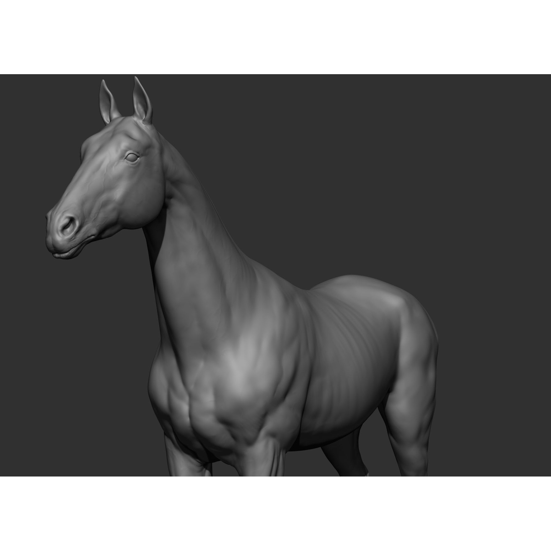 6 Horse Types - High-Poly 3D Model - View 103