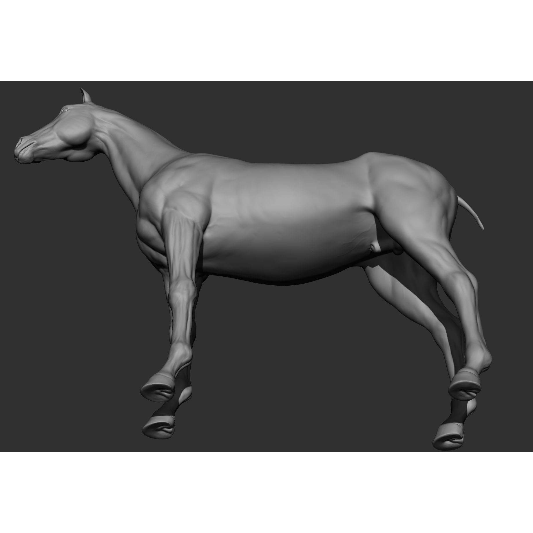 6 Horse Types - High-Poly 3D Model - View 105