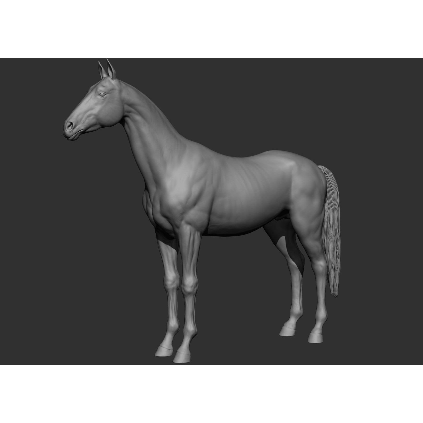 6 Horse Types - High-Poly 3D Model - View 106