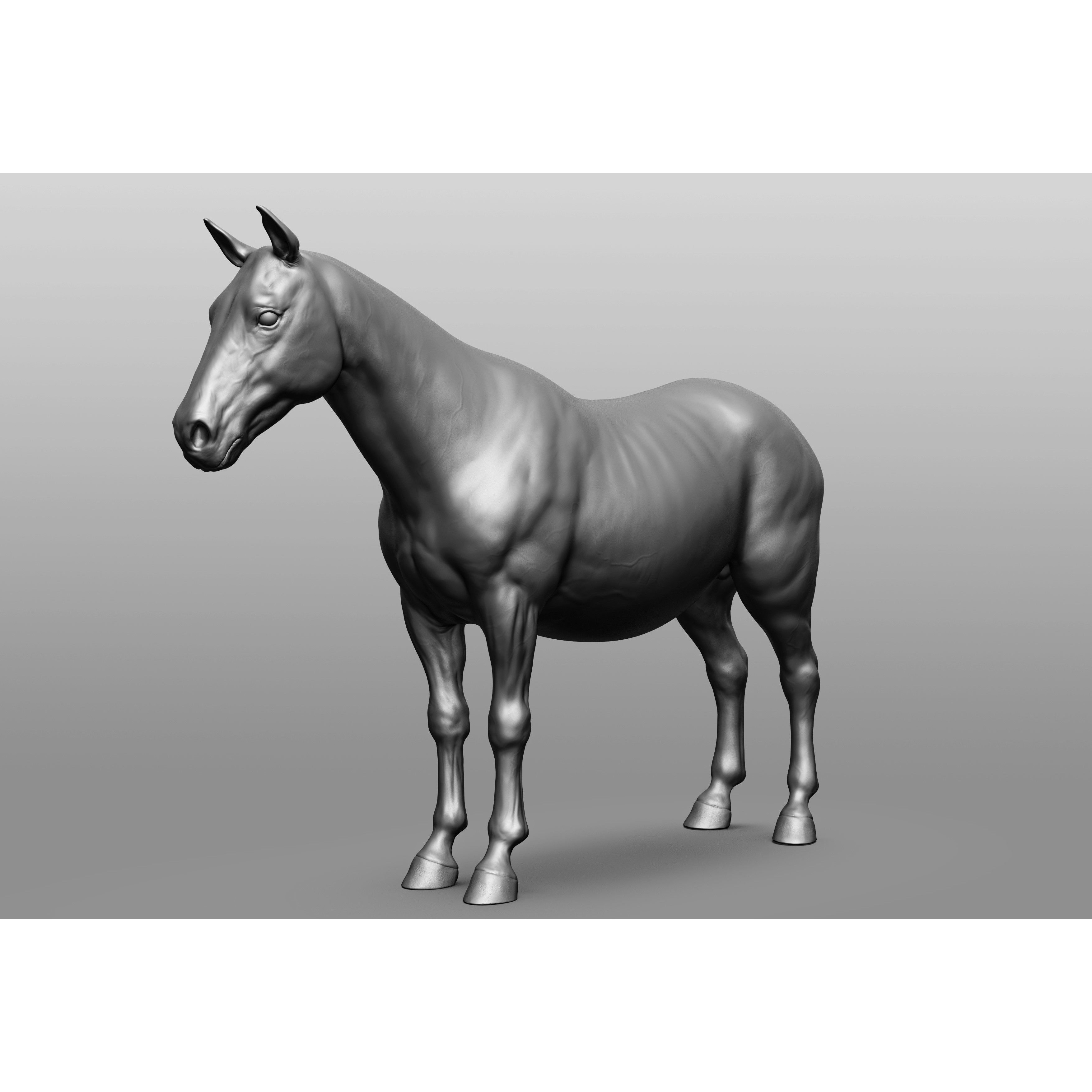6 Horse Types - High-Poly 3D Model - View 107