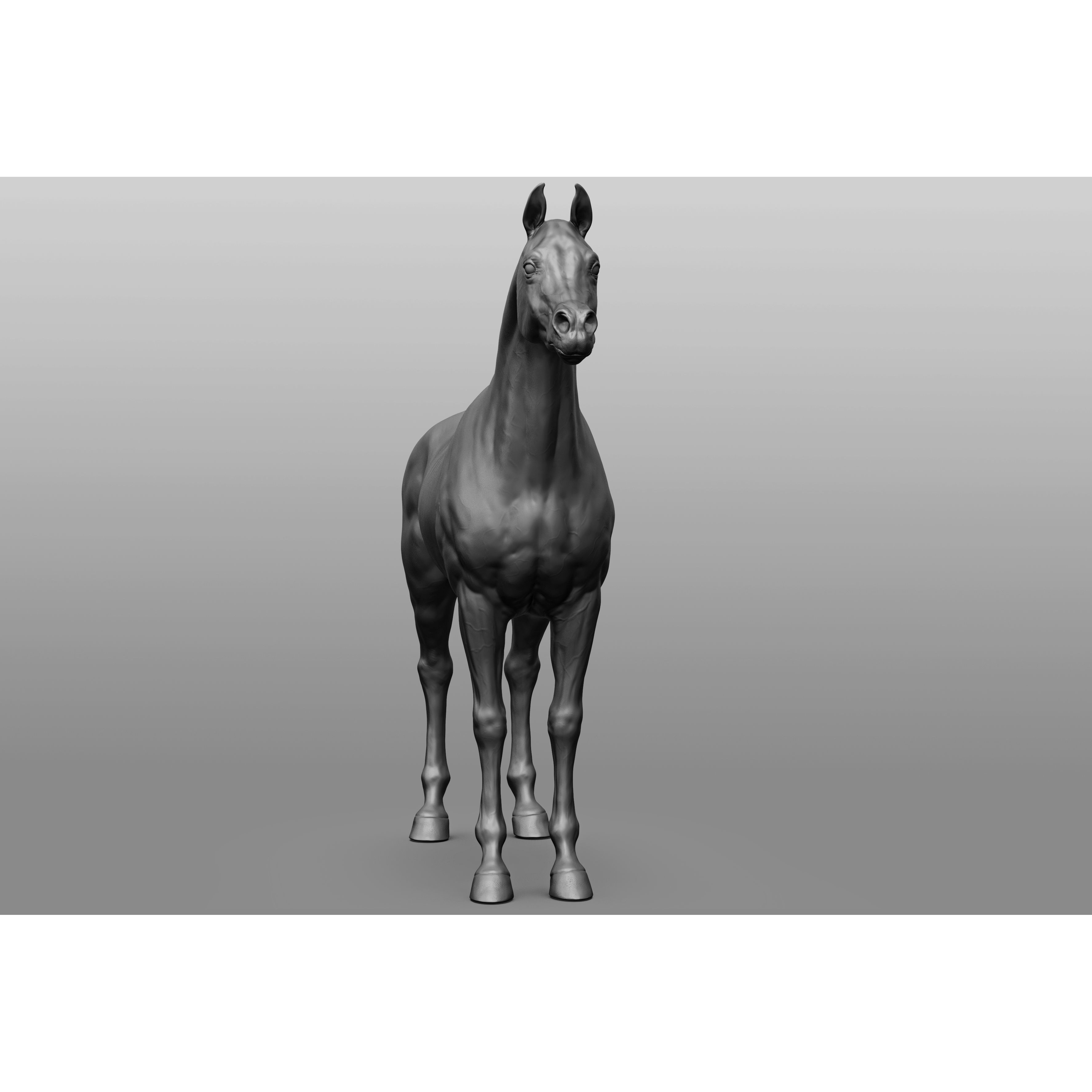 6 Horse Types - High-Poly 3D Model - View 11