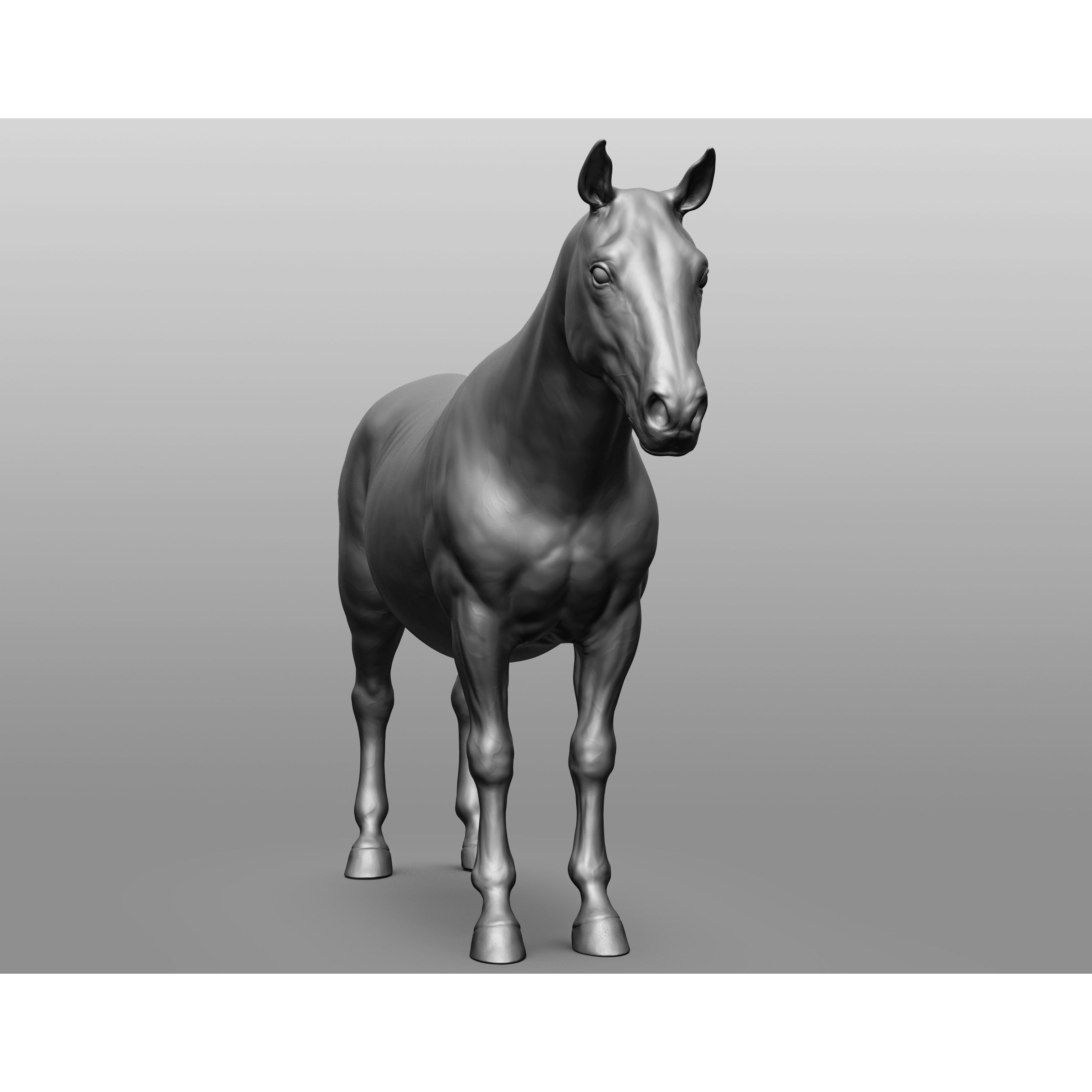 6 Horse Types - High-Poly 3D Model - View 110