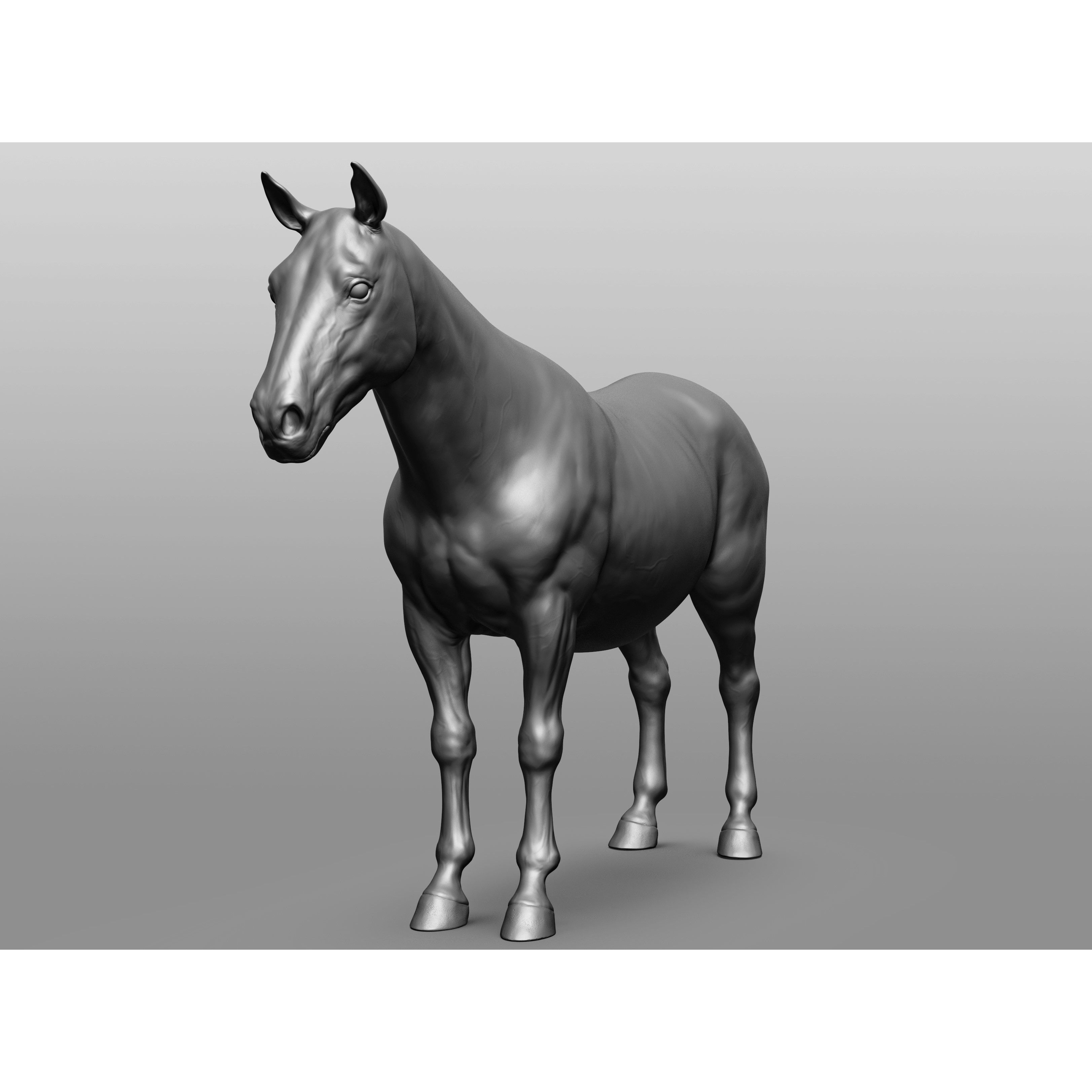 6 Horse Types - High-Poly 3D Model - View 111