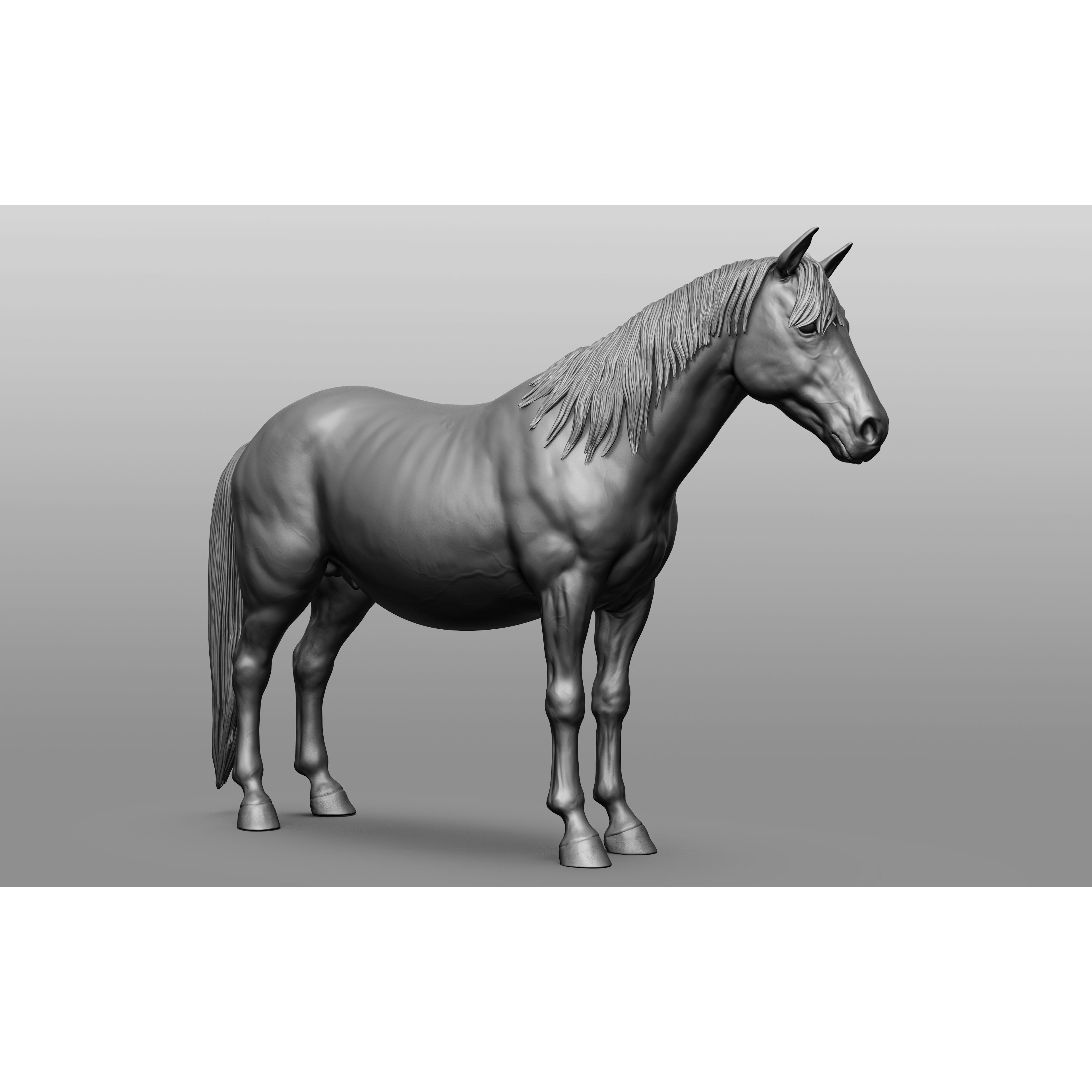 6 Horse Types - High-Poly 3D Model - View 112